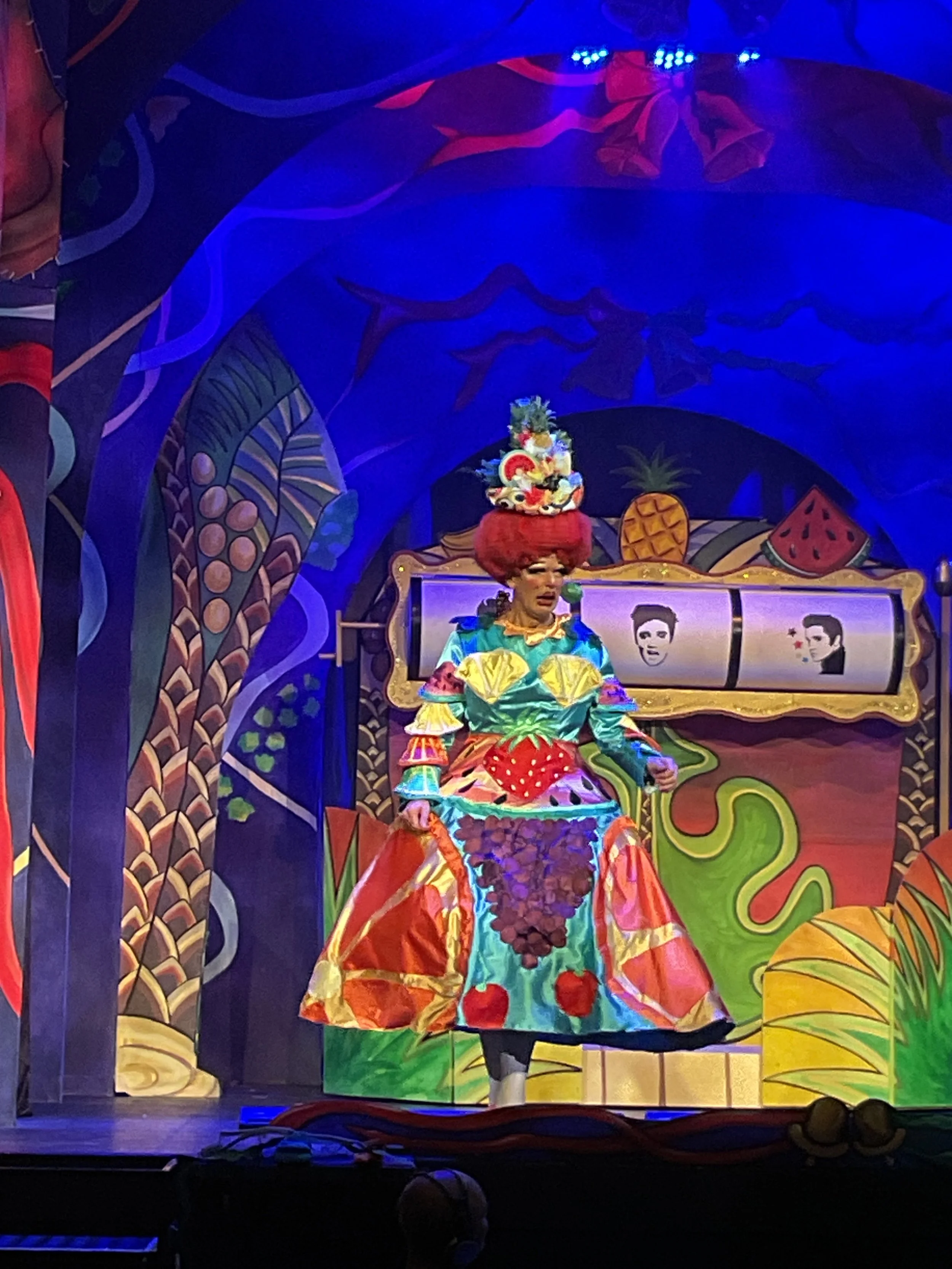 Fruit salad costume  Dick Whittington Regal Theatre 2025 
