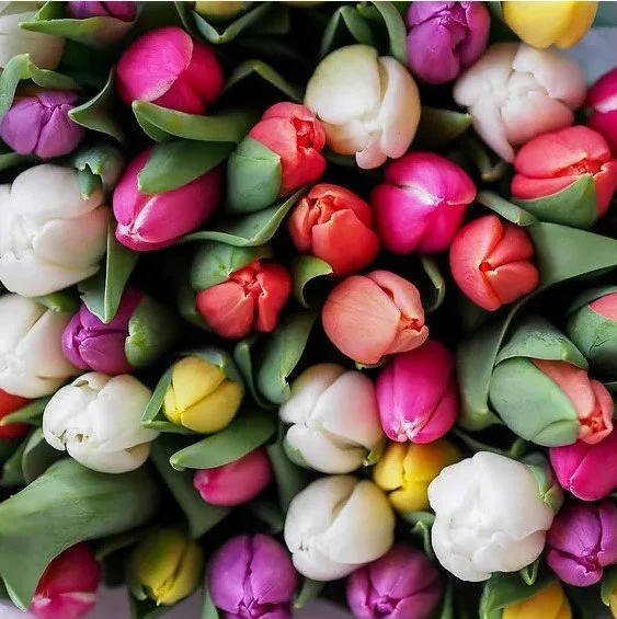 Mollie McGee's Spring Craft Market