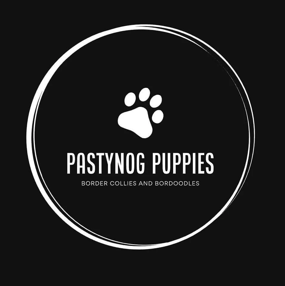 Pastynog Puppies