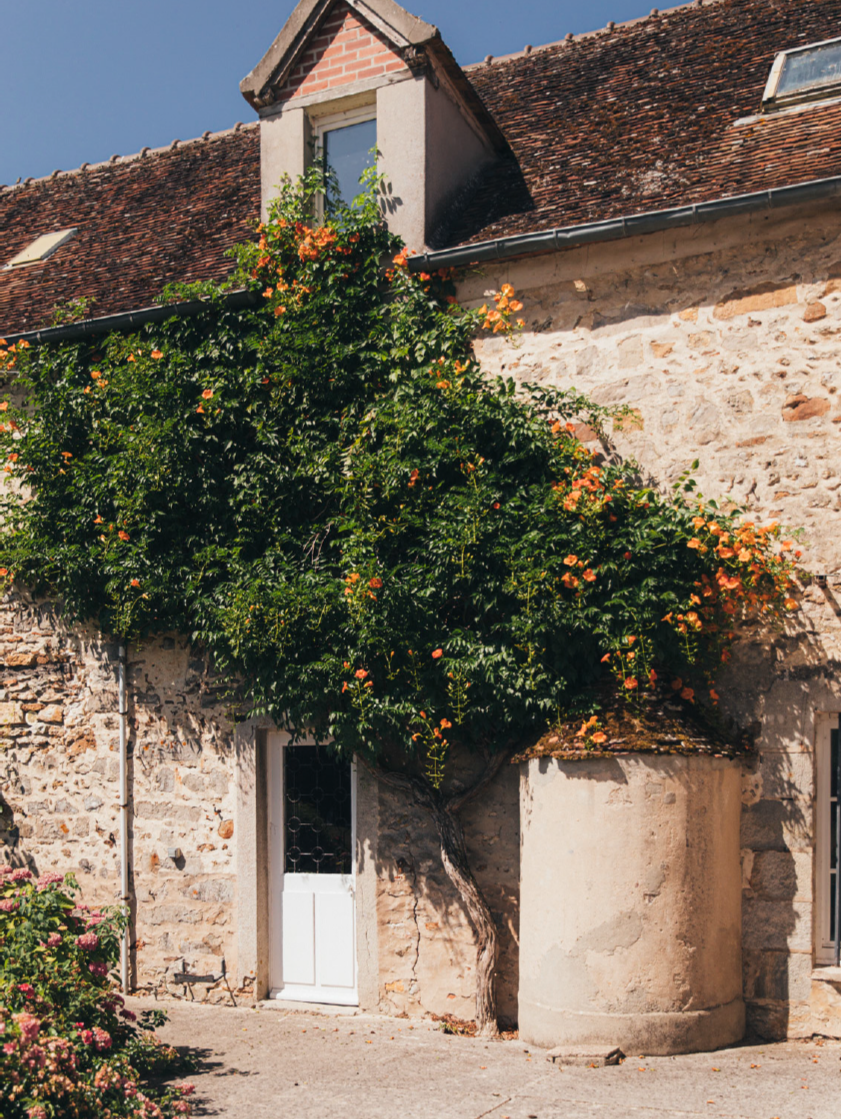 DEMAIN DESIGN X DOMAINE DE MALASSISE