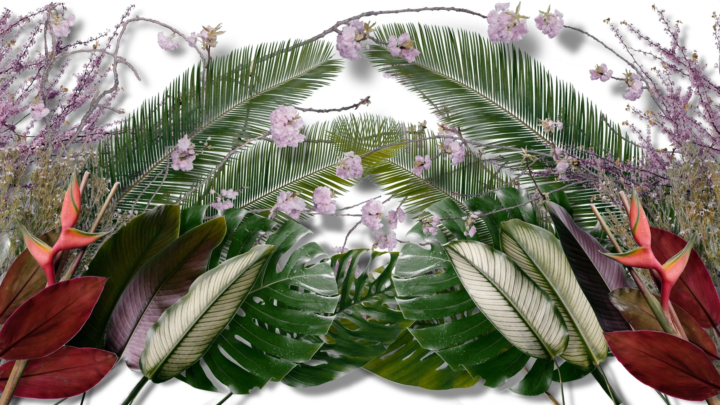 Reel Backup Image.jpg