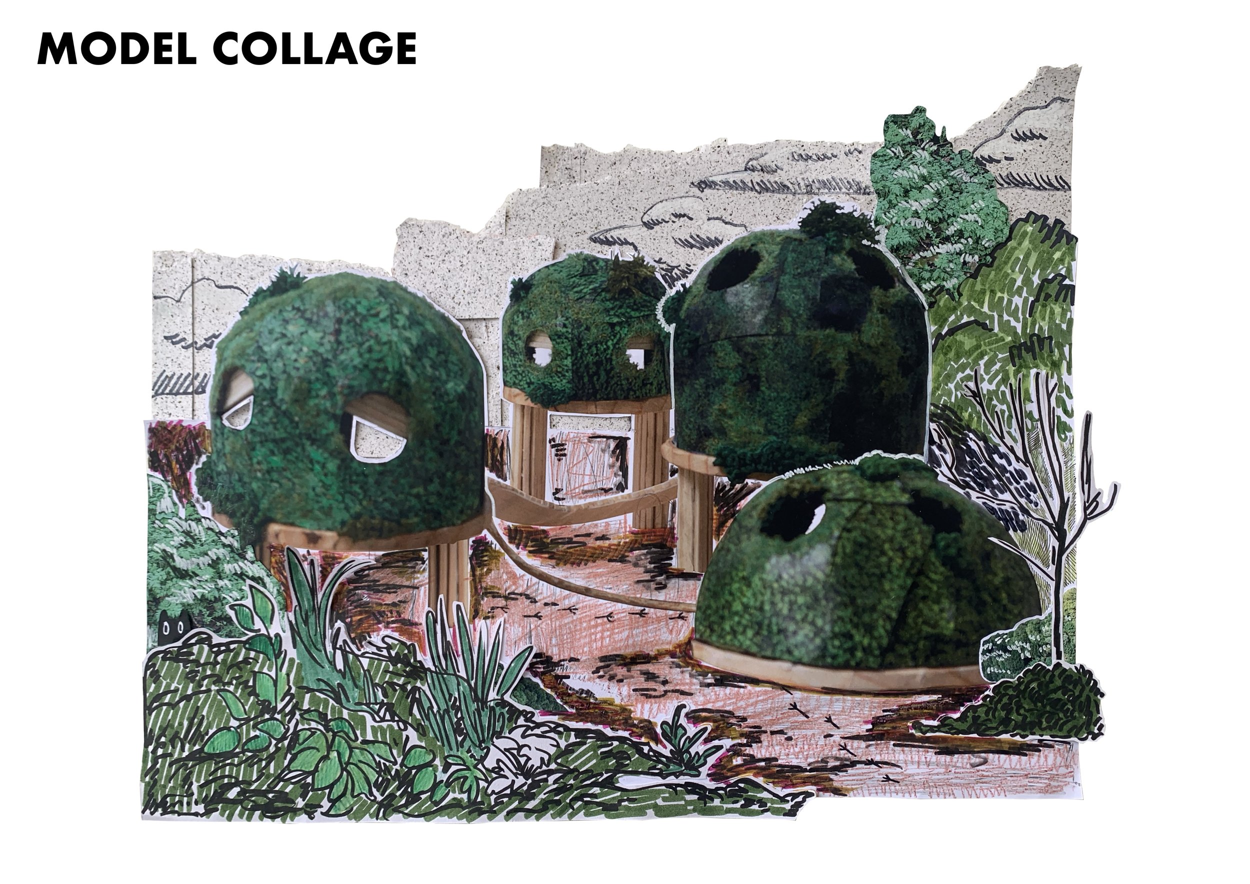 Untitled_Artwork 104.jpg