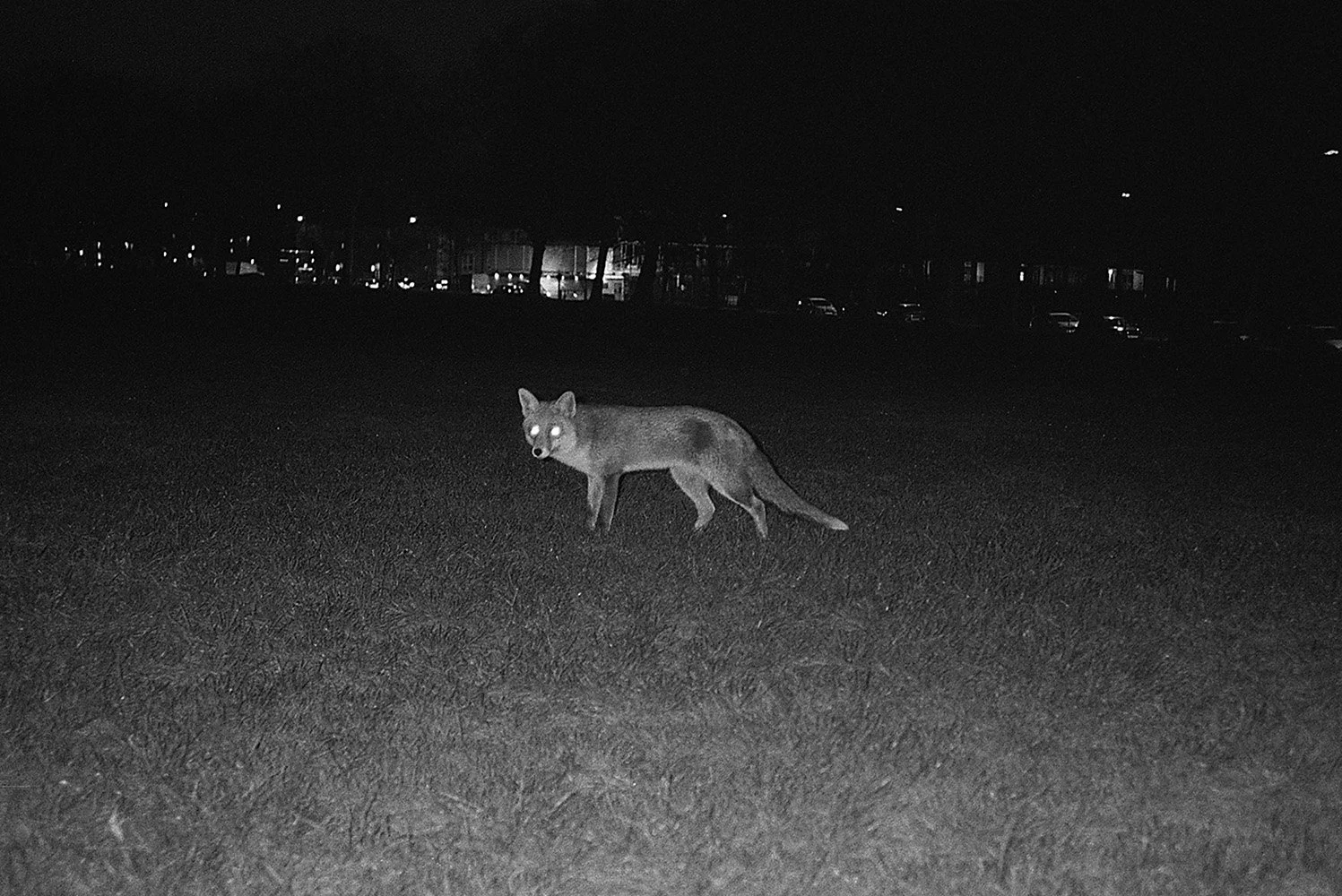 103_ SN 15792_CROPVERSION.jpg