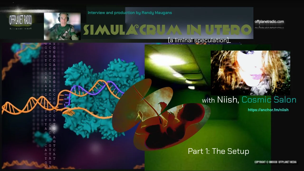 Niish | The Simulacrum In Utero Pt1 Niish | The Simulacrum In Utero Pt1