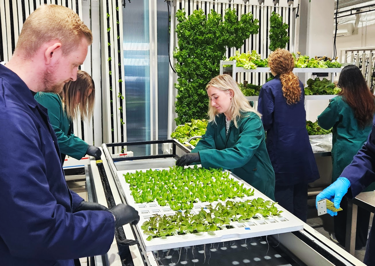 Harvesting on Farm TMR.png