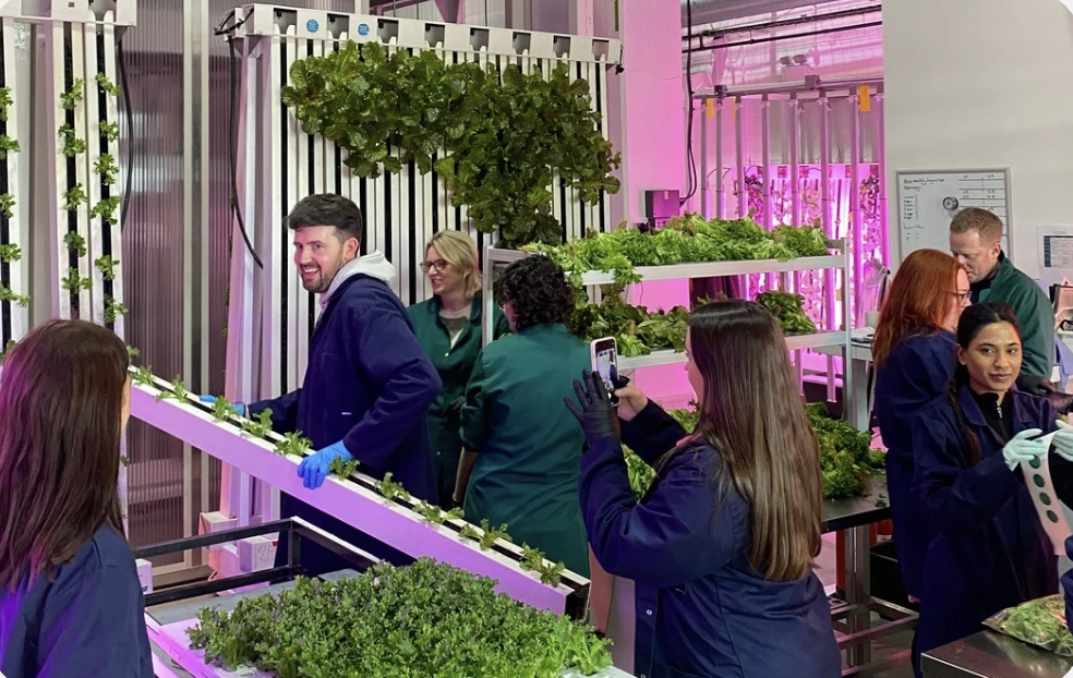 Brabners Volunteering Day .png