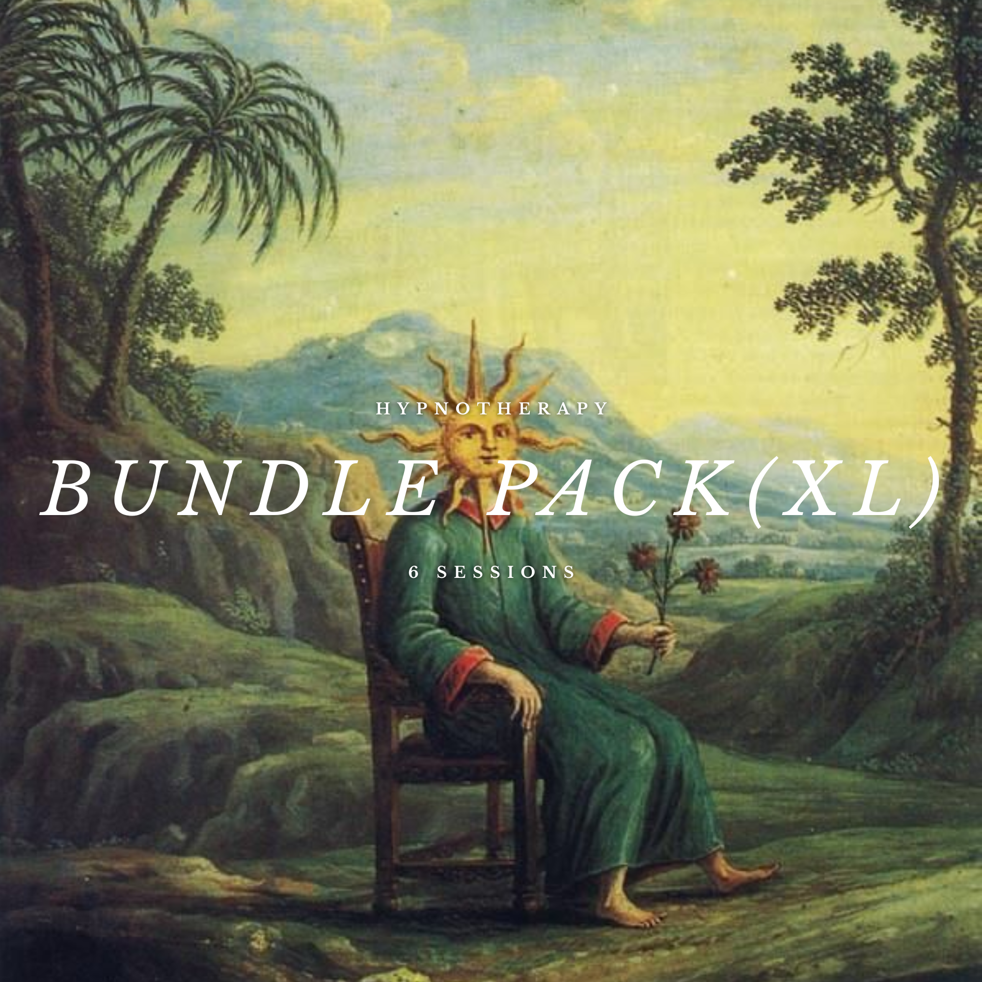 Hypnotherapy Consultations Bundle XL