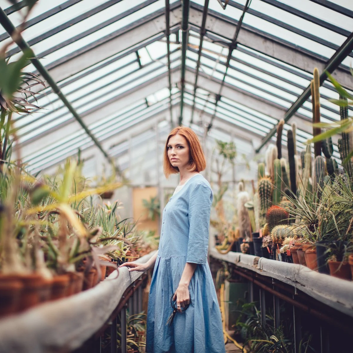  
 Title: 
 
The Greenhouse Story 
 Story & Message:   
Anne entered the room and immediately felt it. The fresh scent of all the flowers and plants in the greenhouse. She found it so fascinating that she decided to make the moment a little longer. W
