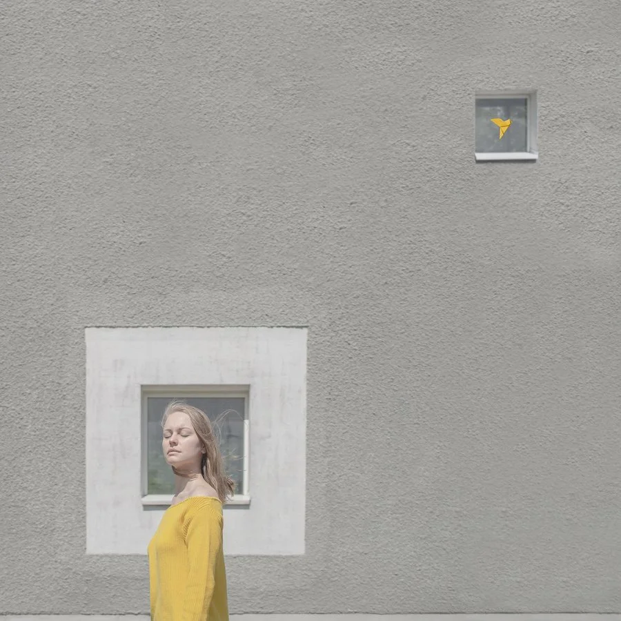  
 Title: 
 View From The Window 
 Story & Message:   
What do you see from the window today? Today it's me, tomorrow it's you. Each day brings something new.
 