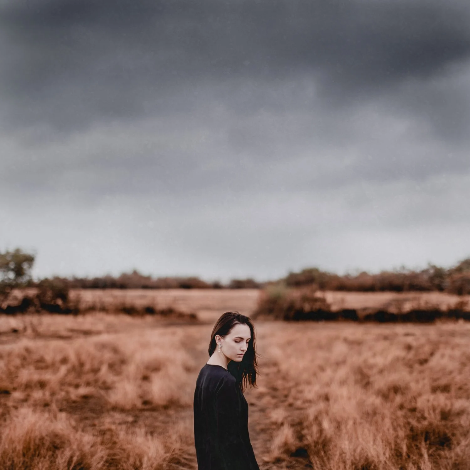  
 Title: 
 It's On Fire 
 Project:   
No Project
 