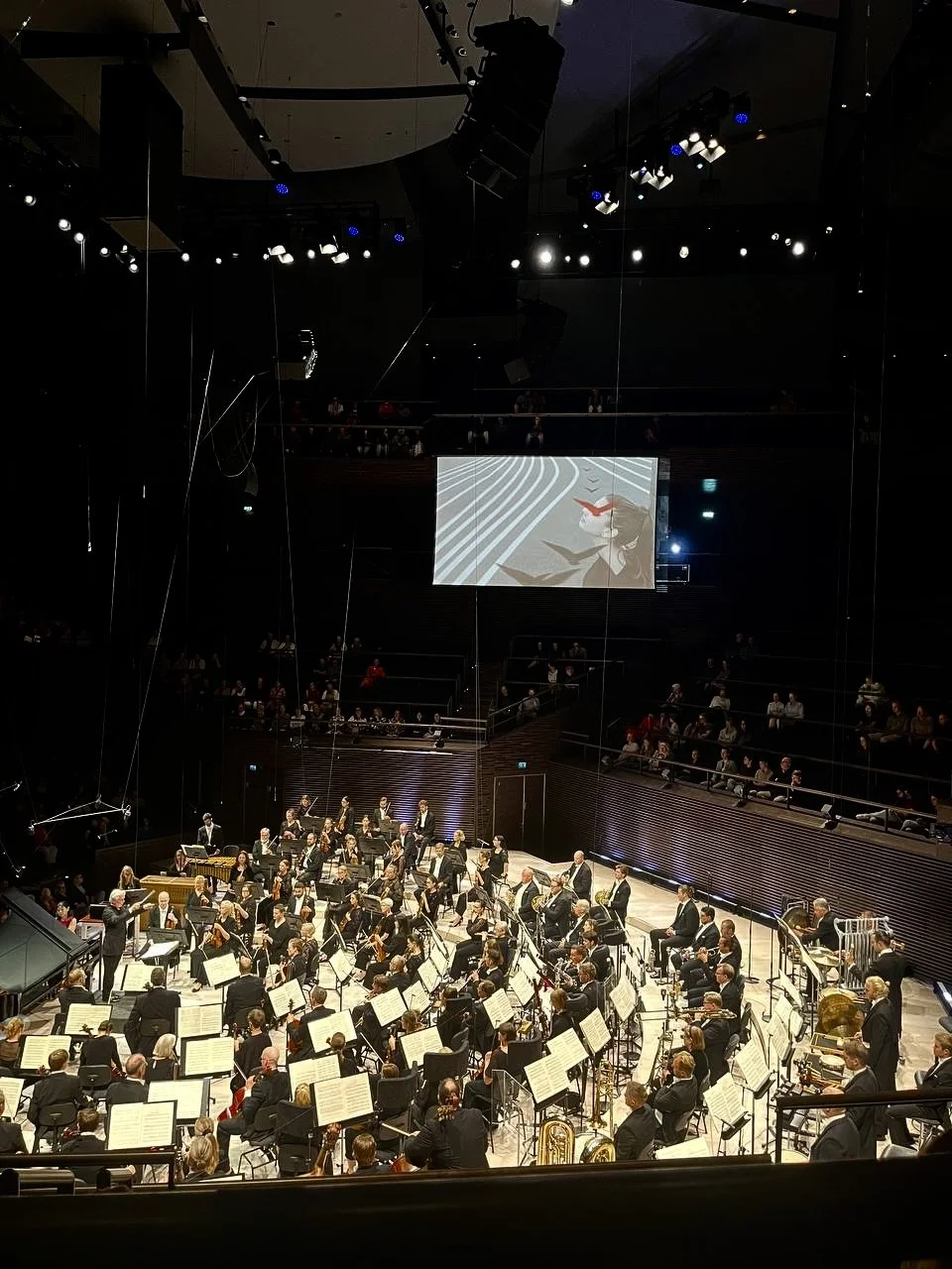 Dasha Pears_Helsinki Festival 2025_Once in a Lifetime.jpg