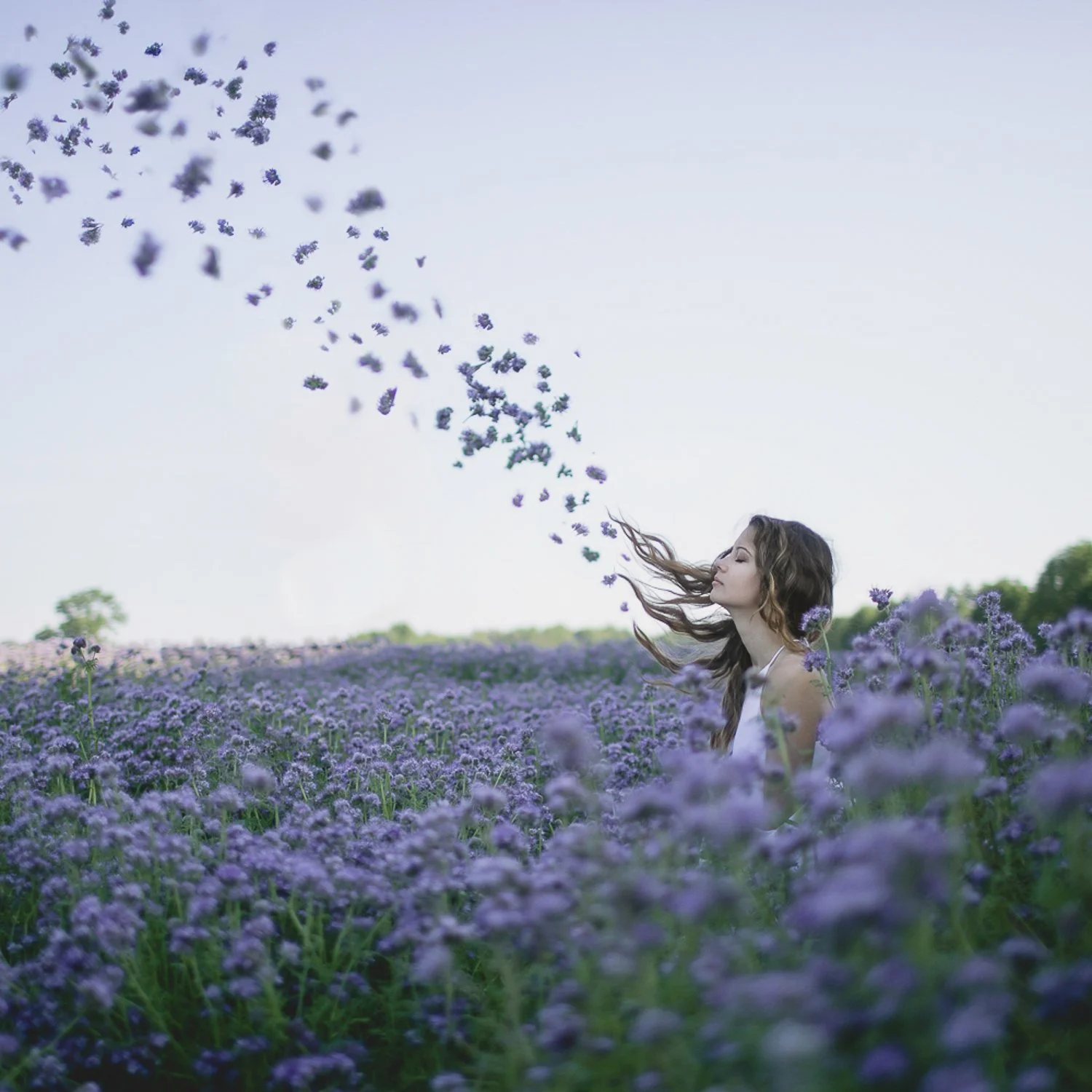  
 Title: 
 
Song of the Earth 
 Story & Message:   
There’s one relationship in your life — in everyone’s life — that has been kept a secret. You don’t know when it began, and yet you depend upon it for everything. If this relationship ever ended, t