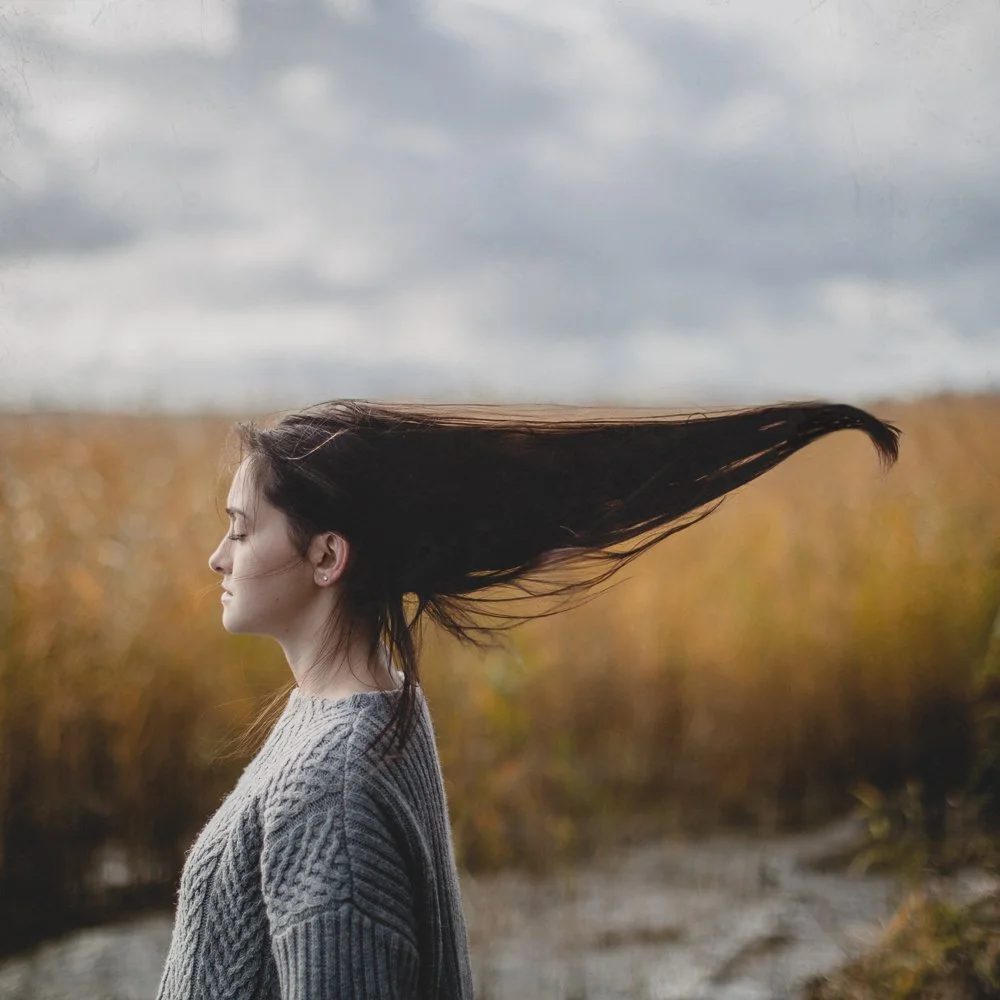  
 Title: 
 
Before the Storm 
 Story & Message:   
Coming soon
 