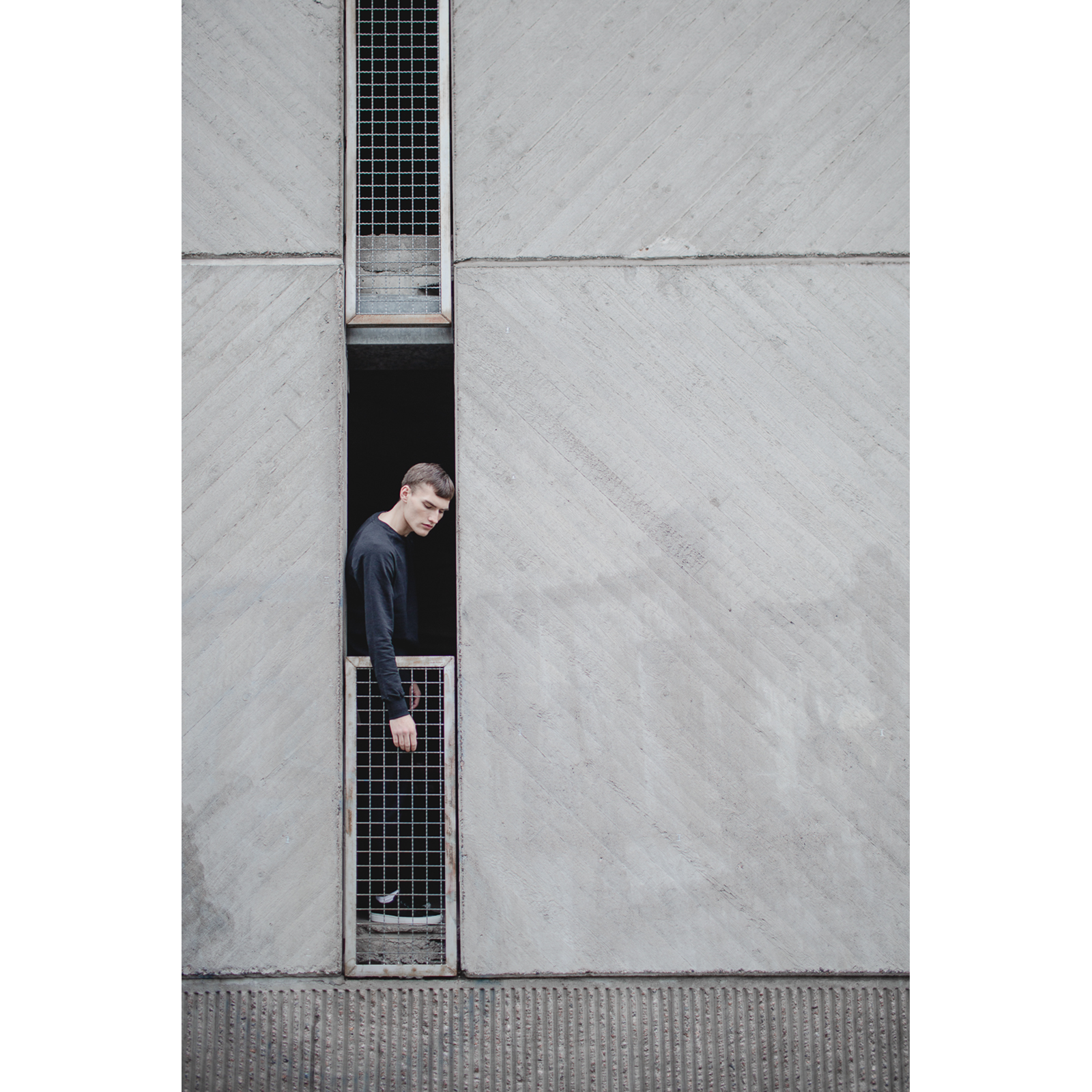  
 Title: 
 
Into the Wild 
 Story & Message:   
Coming soon
 