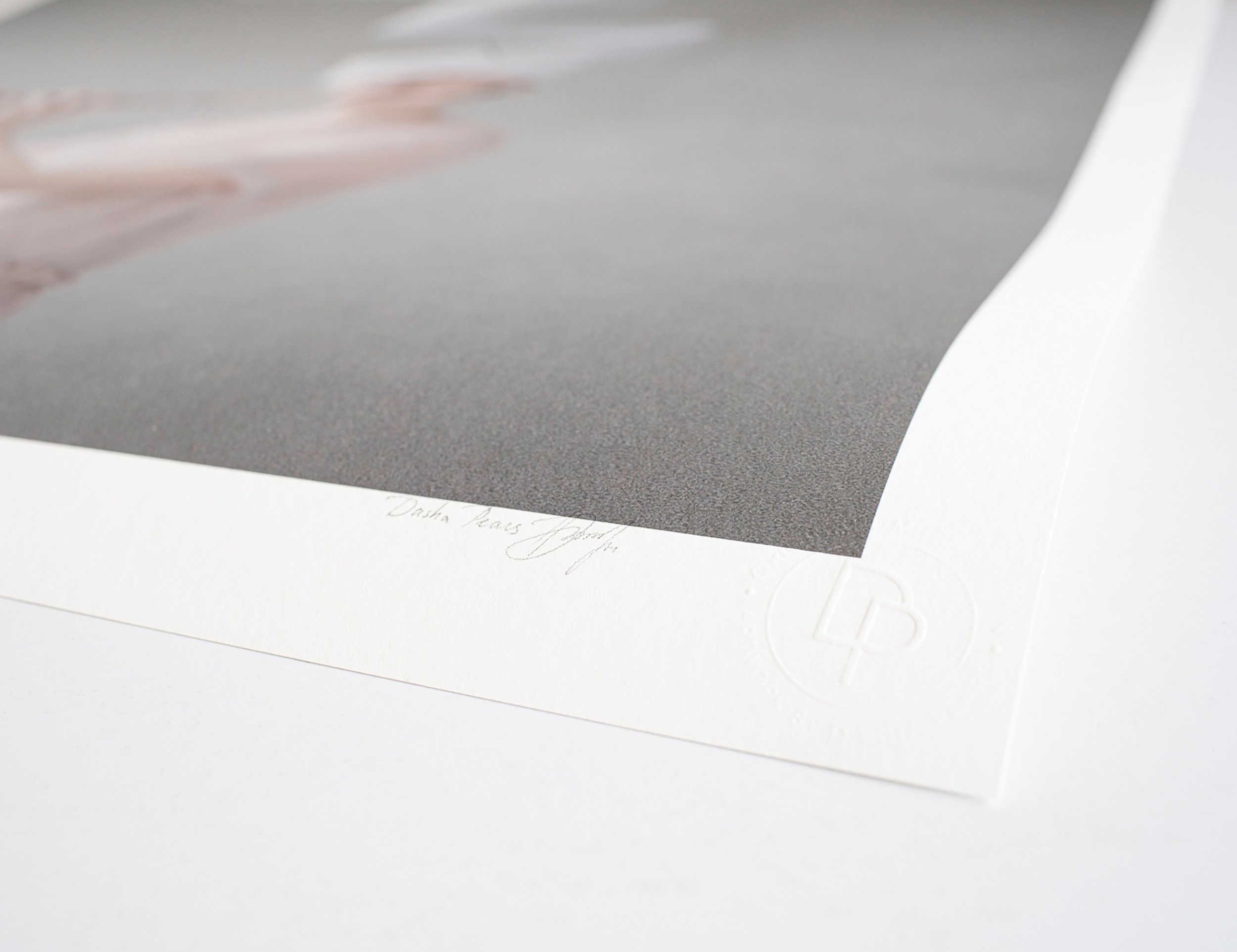 1-dasha-pears-printed artwork_details_signature_stamp_web.jpg (Copy) (Copy) (Copy)