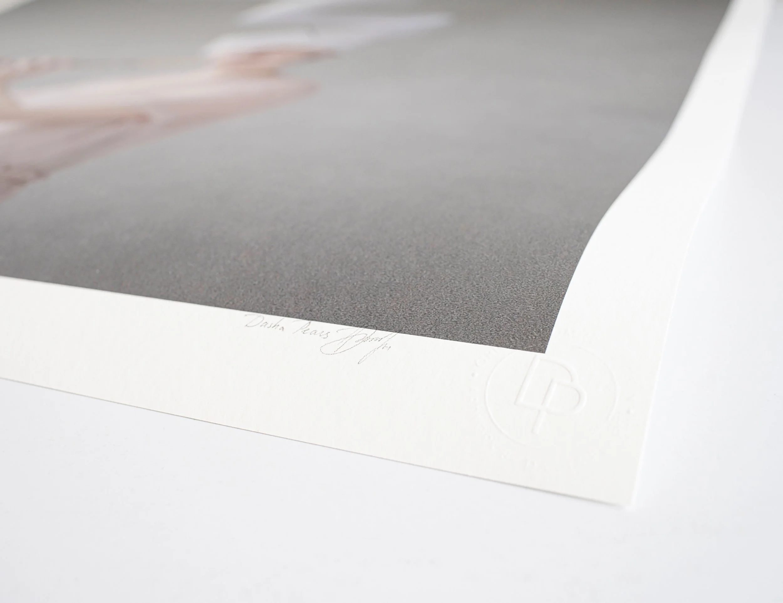 1-dasha-pears-printed artwork_details_signature_stamp_web.jpg (Copy) (Copy) (Copy) (Copy) (Copy)