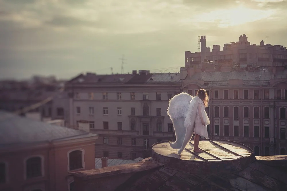  
 Title: 
 Wings 
 Project:   
No Project
 