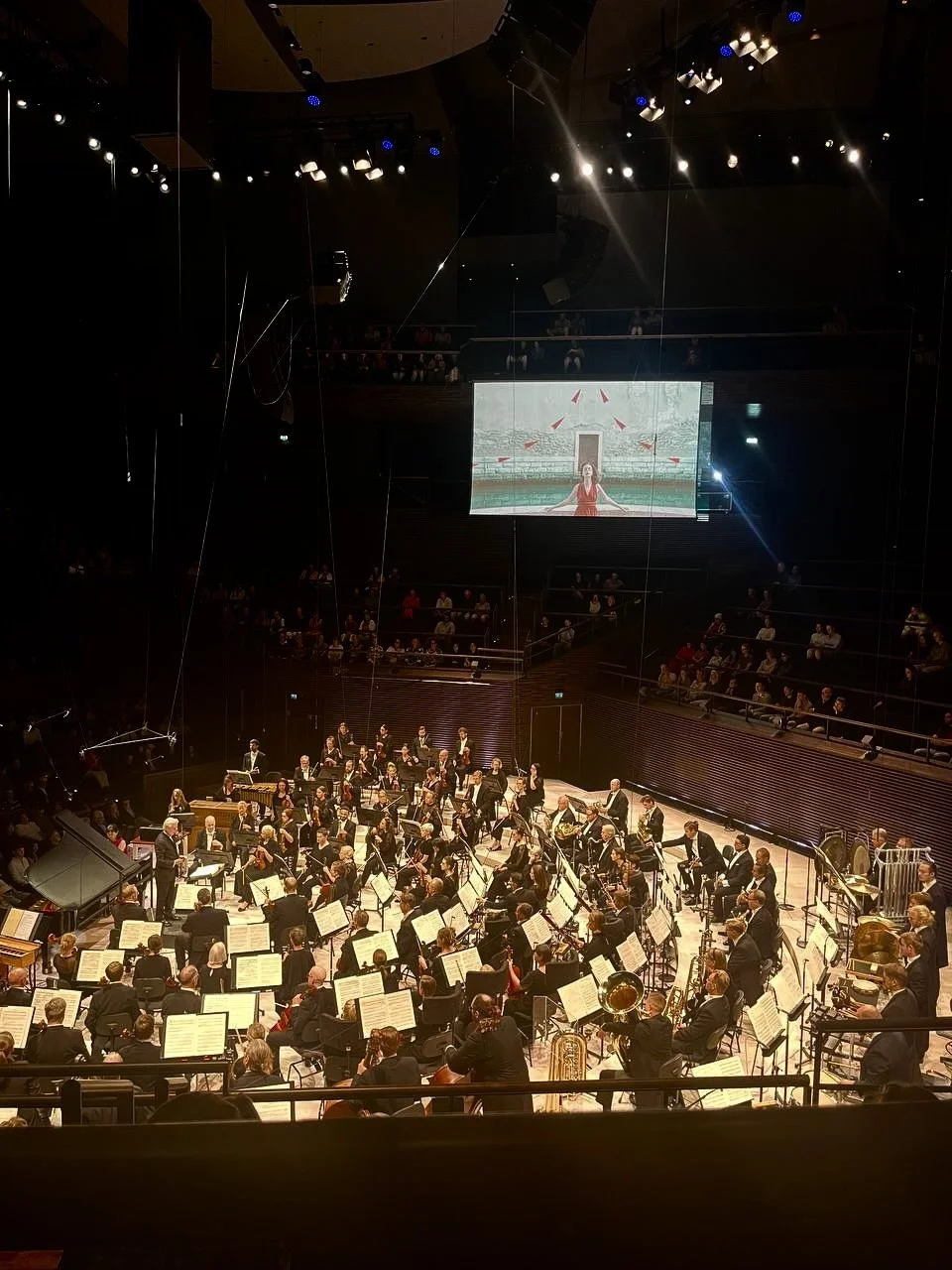 Dasha Pears_Helsinki Festival 2025_Reverse.jpg