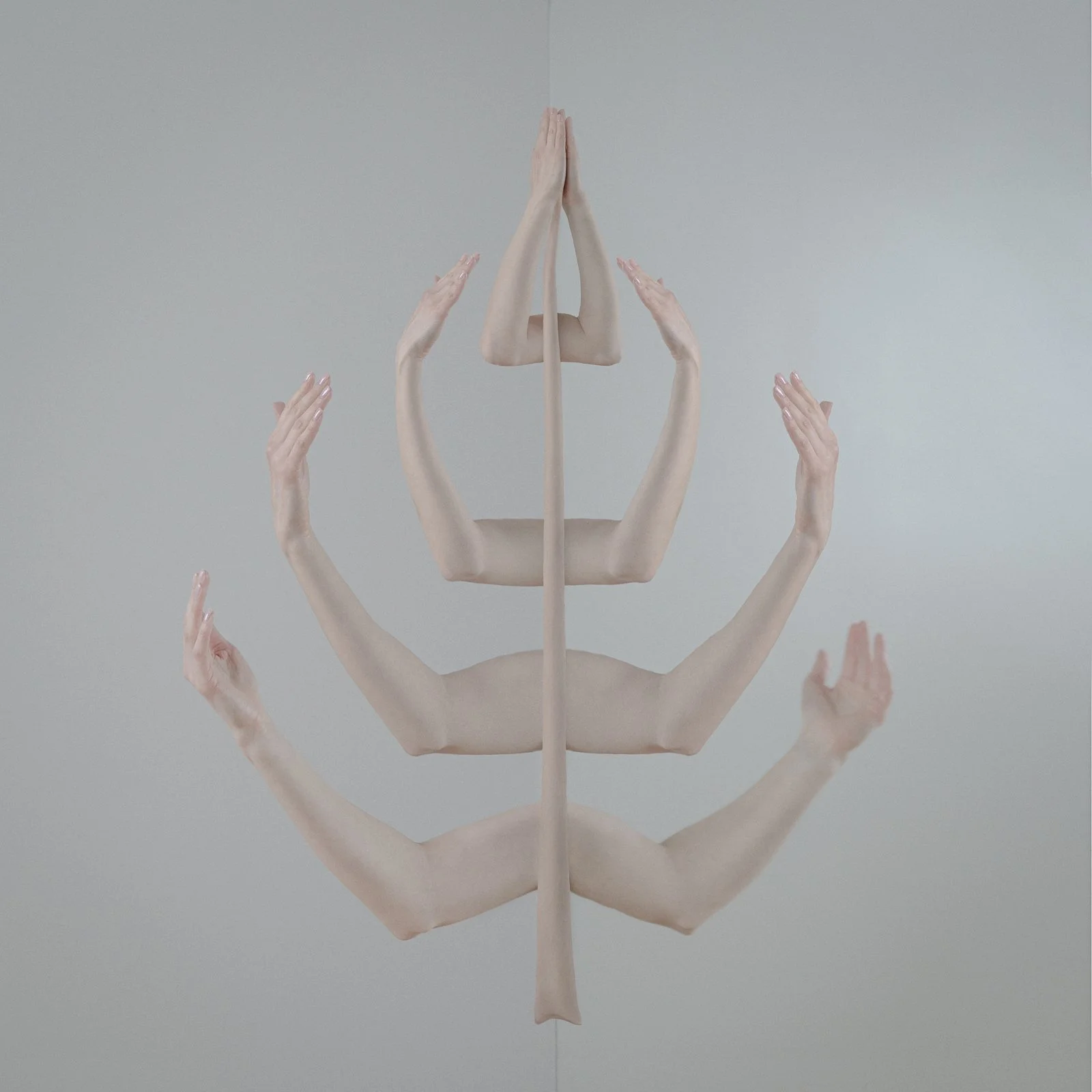  
 Title: 
 
Organism 
 Story & Message:   
Every cell is important, every cell has its place and its function. None should be labeled good or bad.
 