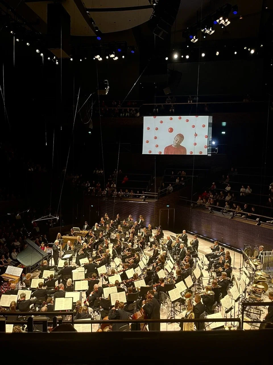 Dasha Pears_Helsinki Festival 2025_My Order.jpg