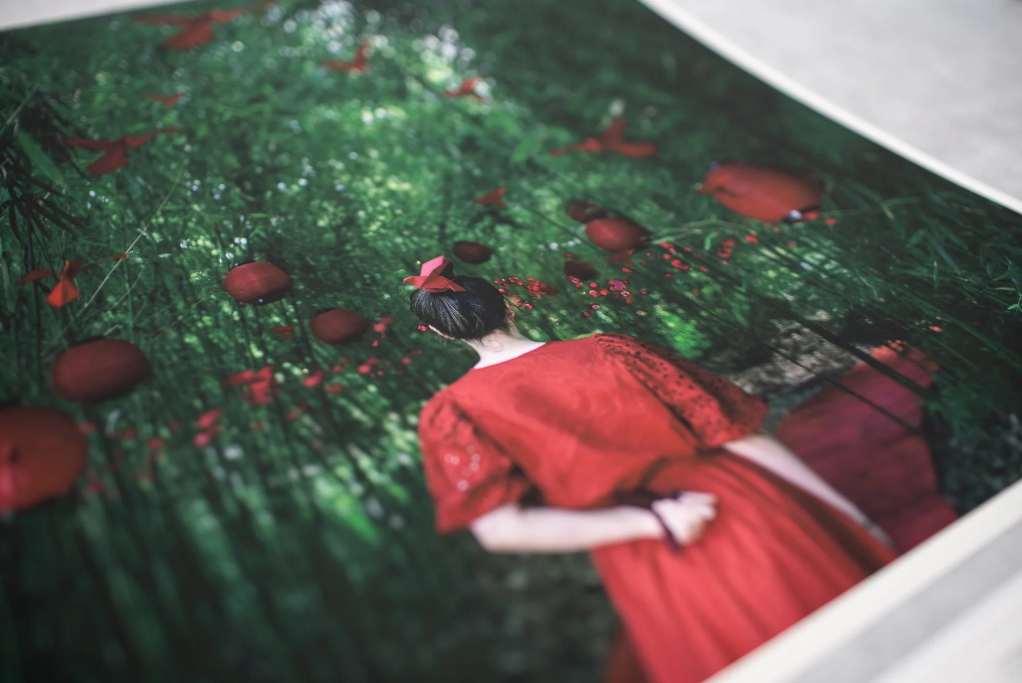 dasha-pears-fire-garden-50cm-printed-6.jpg