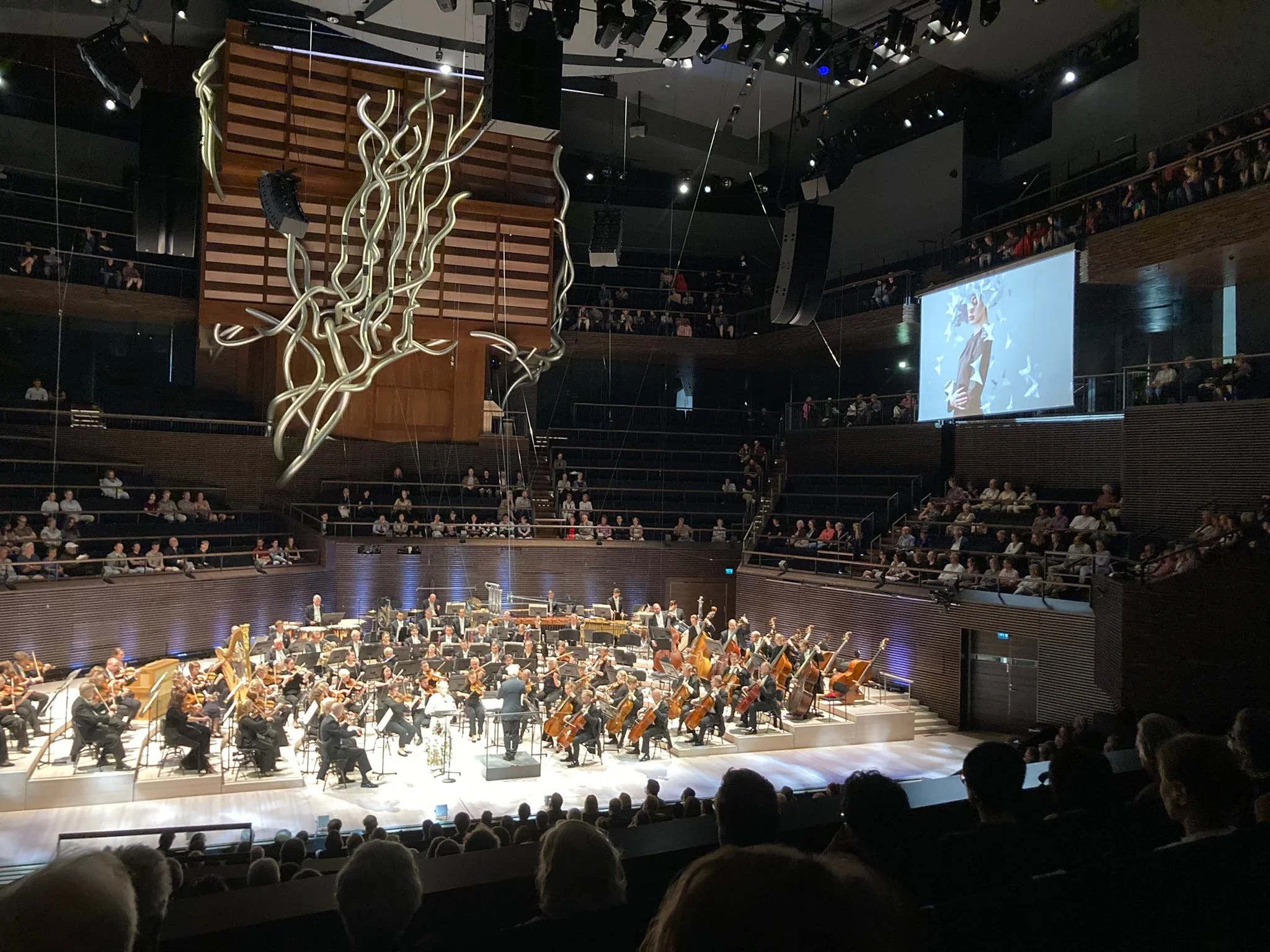 Dasha Pears_Helsinki Festival 2025_Butterflies.JPG