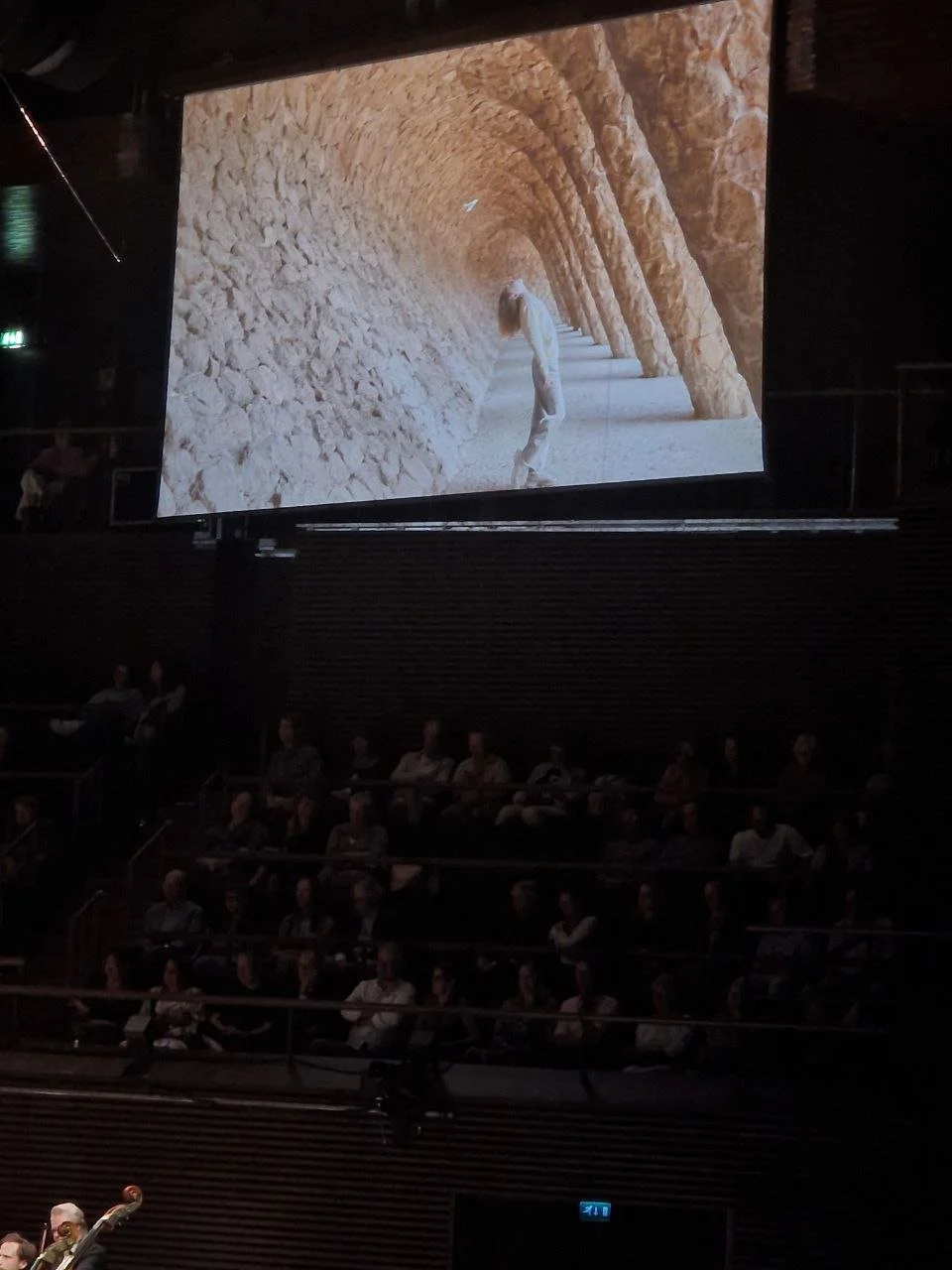 Dasha Pears_Helsinki Festival 2025_I'll be back.JPG