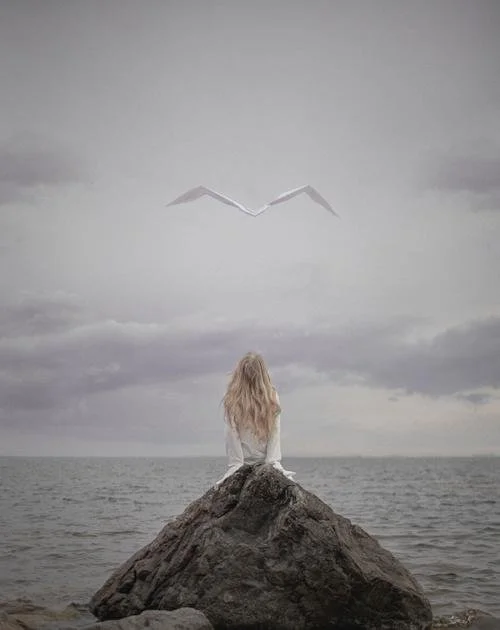  
 Title: 
 
Look Up 
 Story & Message:   
Coming soon
 