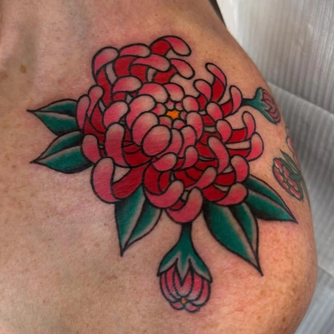 We love a chrysanthemum!🌸 

One for Janet - Done by @goodlucktoni 

If you&rsquo;re interested in getting tattooed by Toni then get in touch!

📍@wildhorsestattooco Wirral, UK
.
.
.

#wildhorsestattooco #traditionaltattoo #wirraltattoo #liverpooltat
