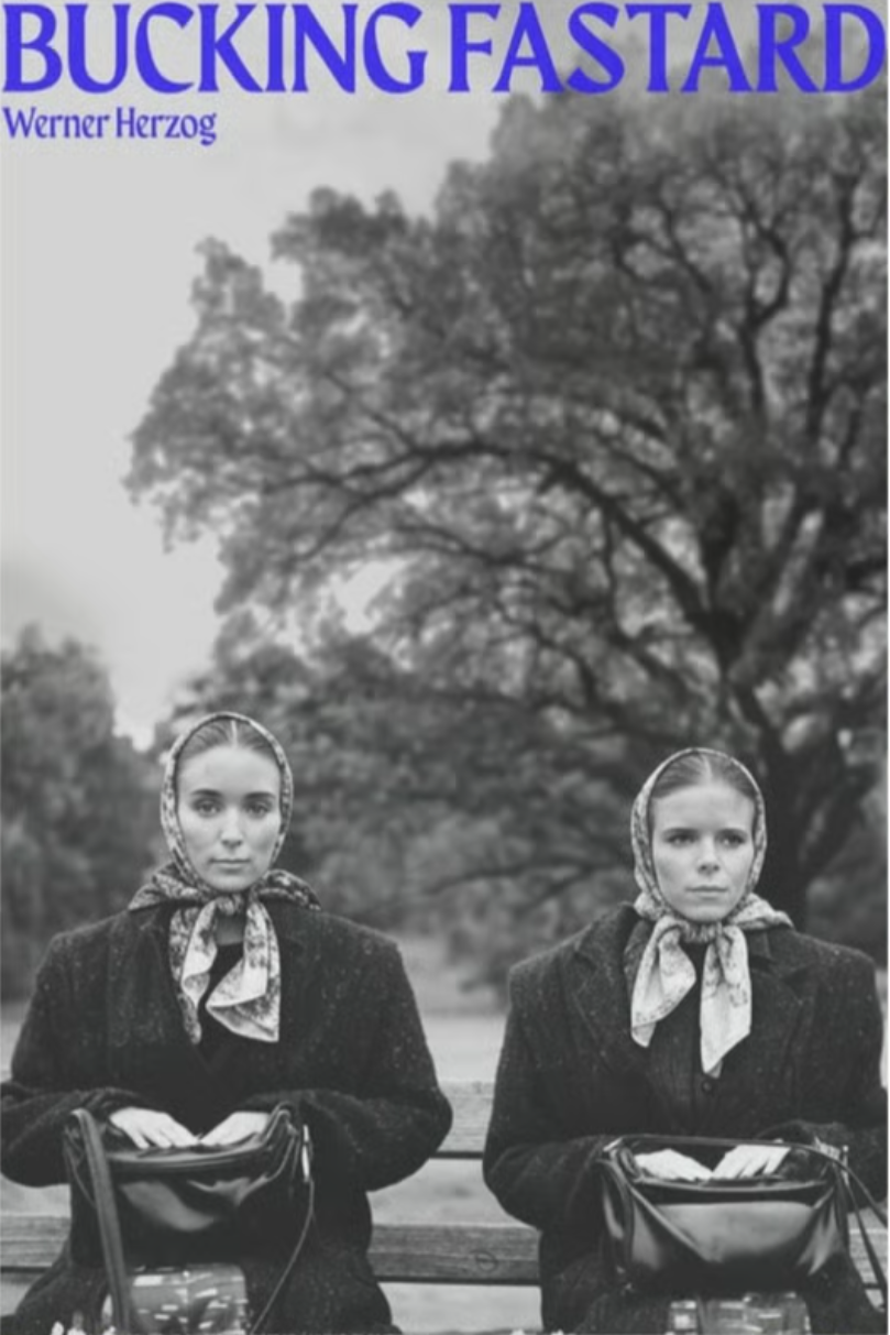 Bucking Fastard (2026)