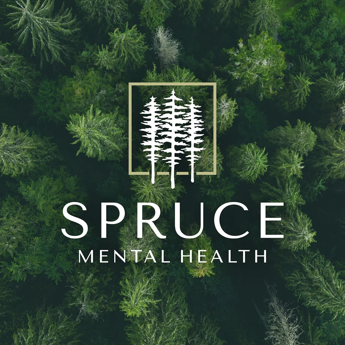 Spruce Mental Health Logo