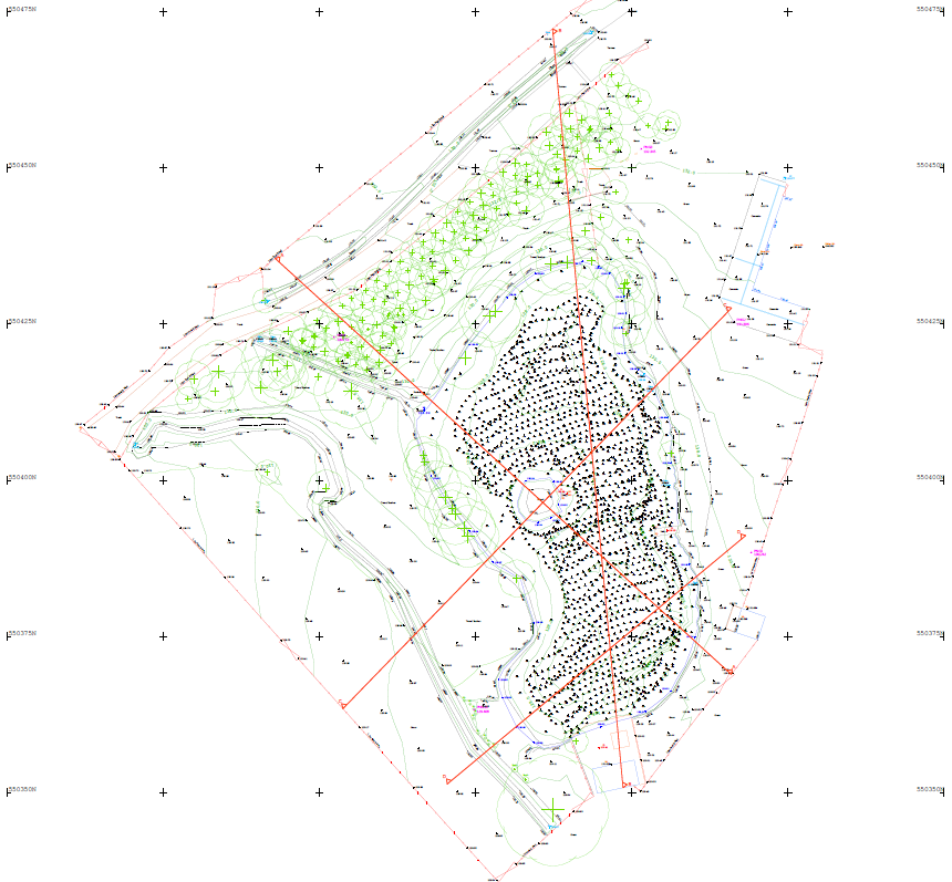 Three-dimensional survey model showing contour lines, elevation points and vegetation markers