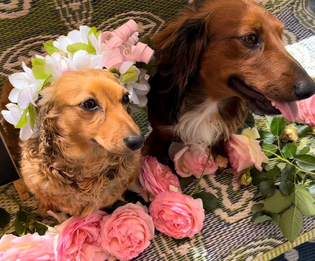 WhatsApp Image 2022-05-15 at 1.04.45 PM.jpeg