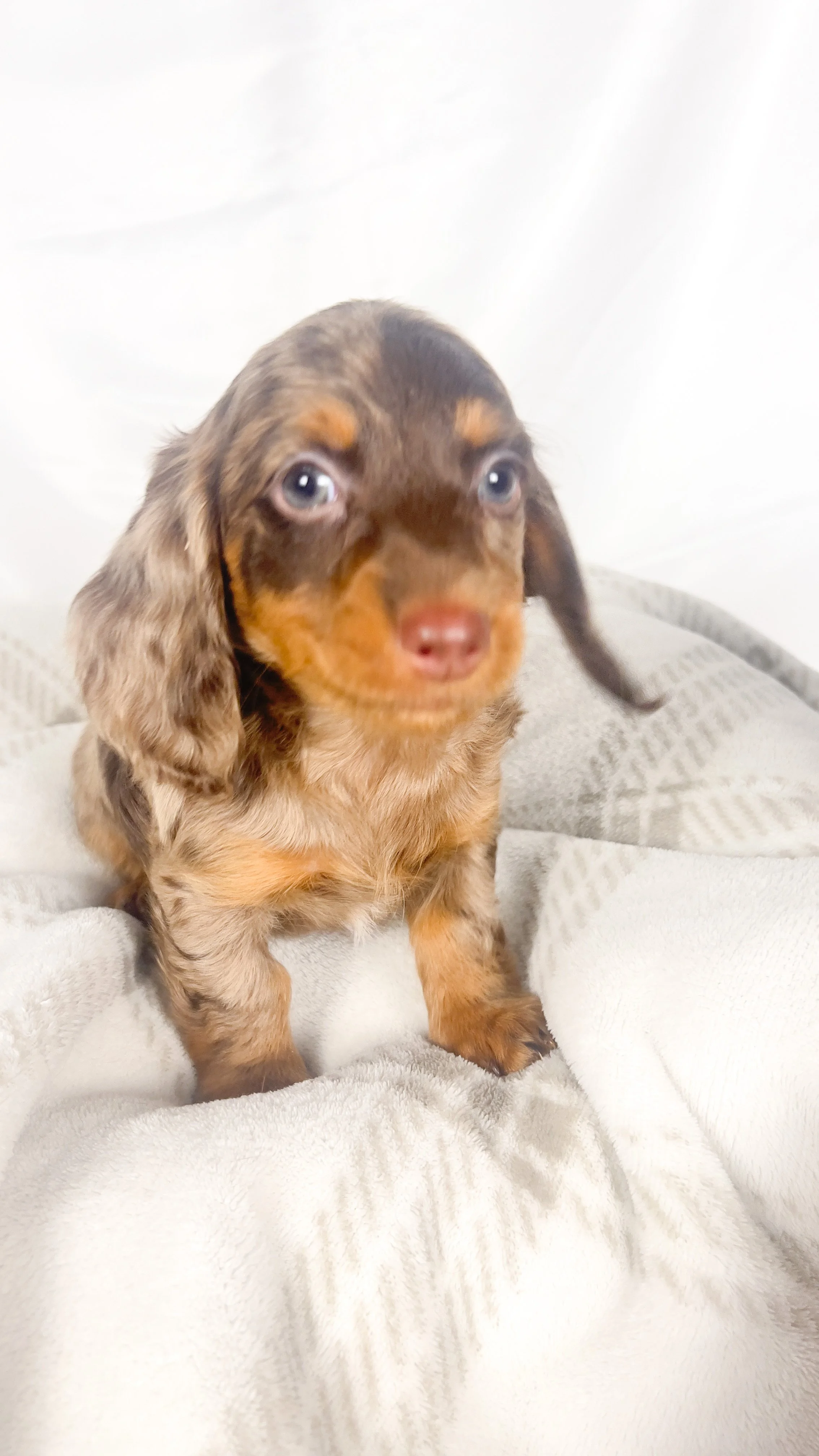 Taro (RESERVED, longhaired girl)