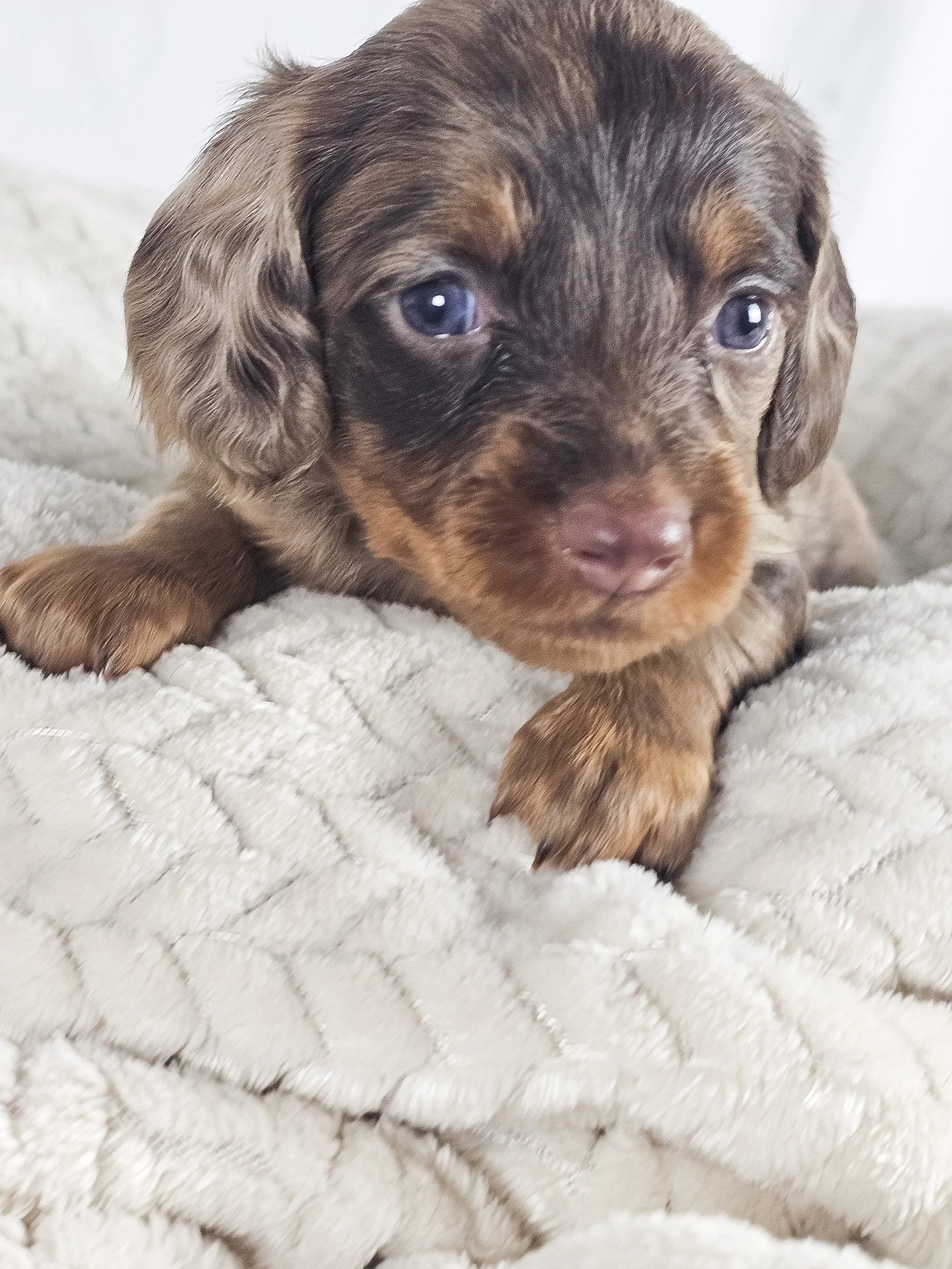 Taro (RESERVED, longhaired girl)