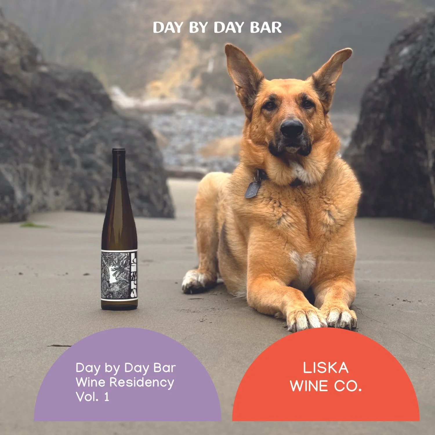 Day by day bar