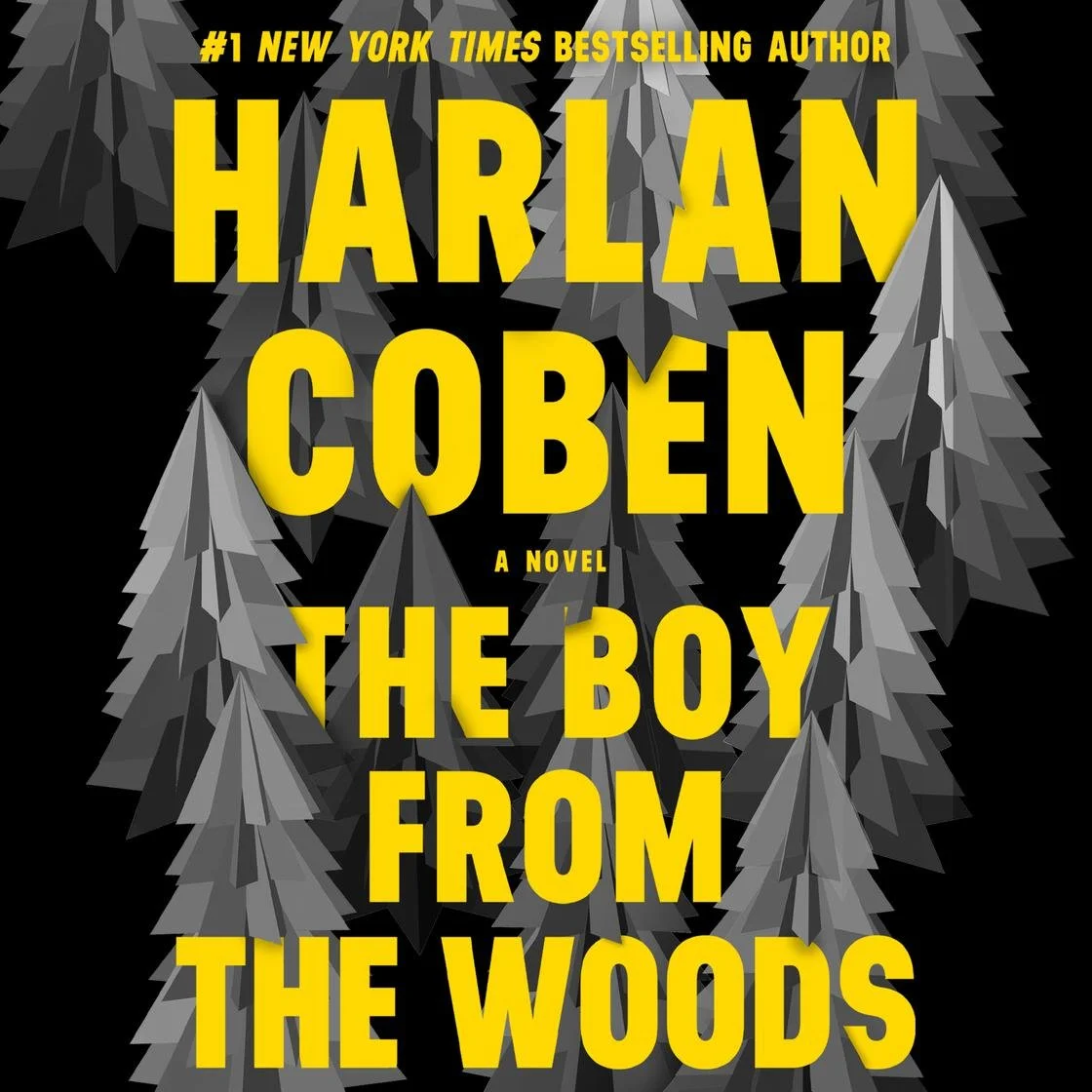 The Boy from the Woods by Harlan Coben