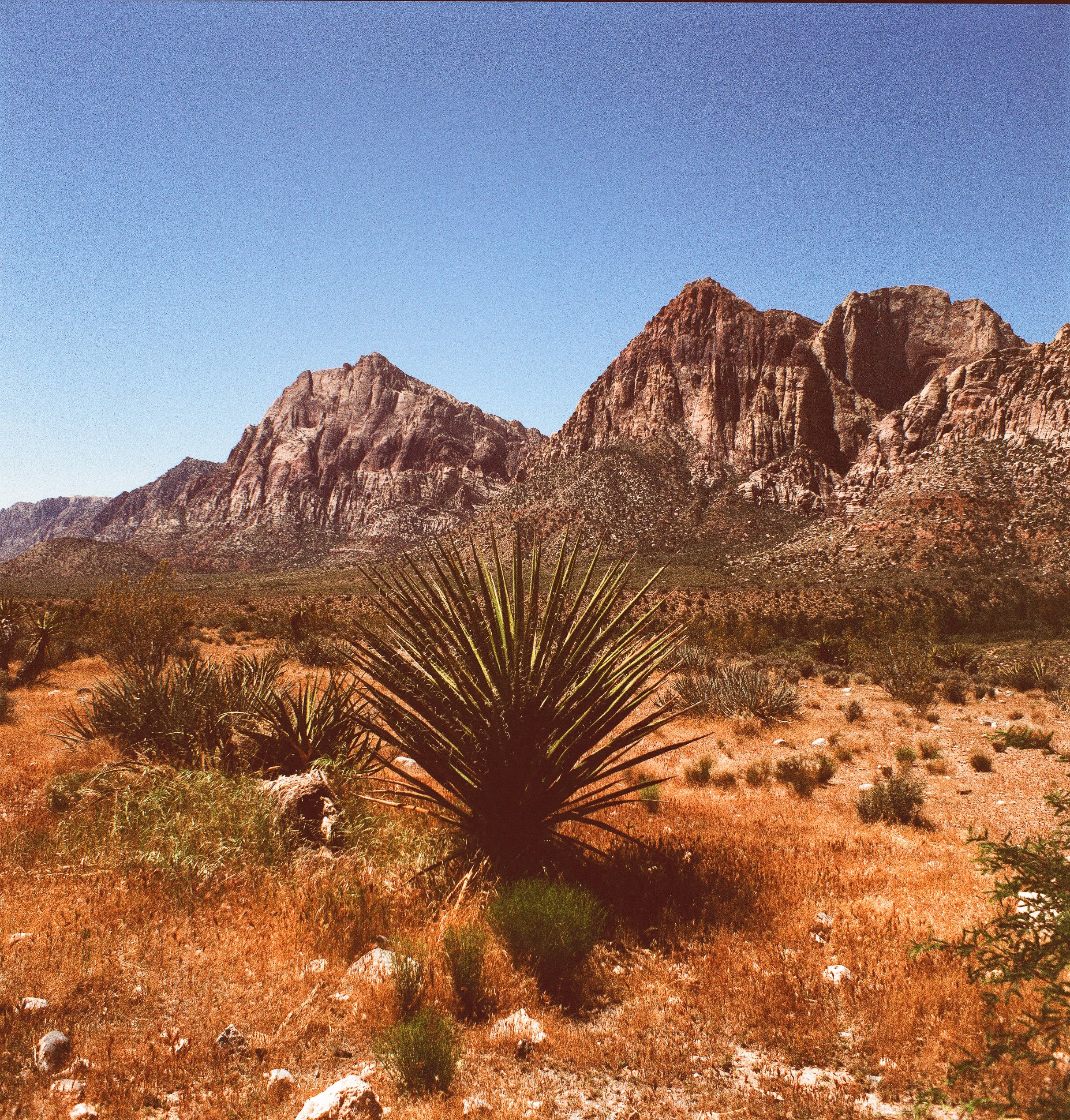 RED ROCK. Phoenix 200
