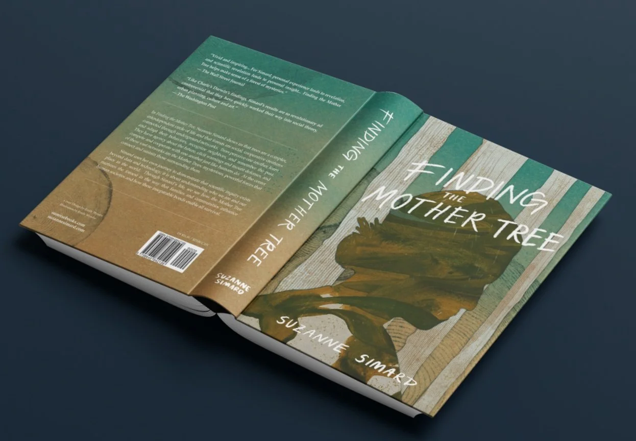 Finding the Mother Tree