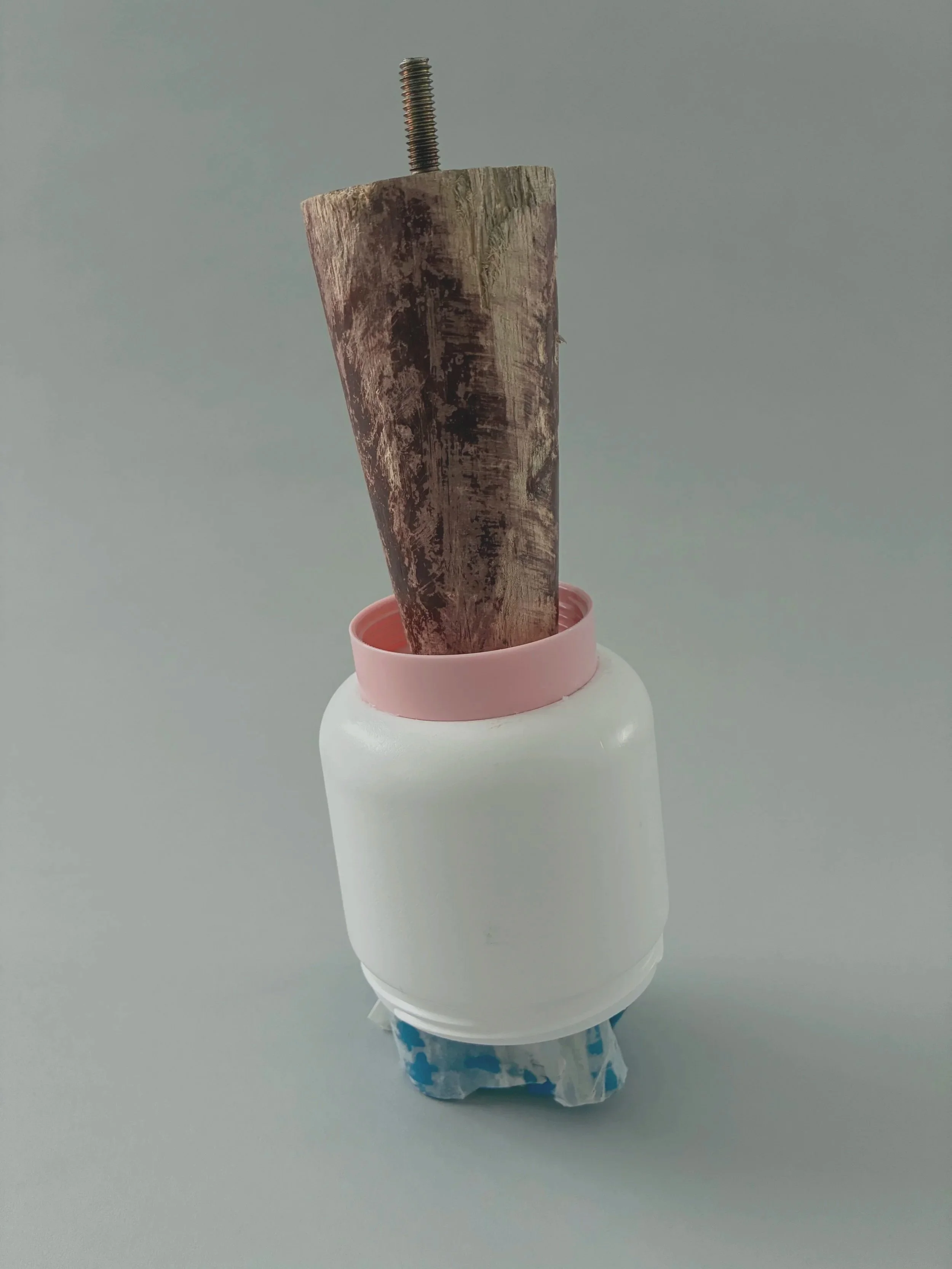 lady+in+wood+1.jpg