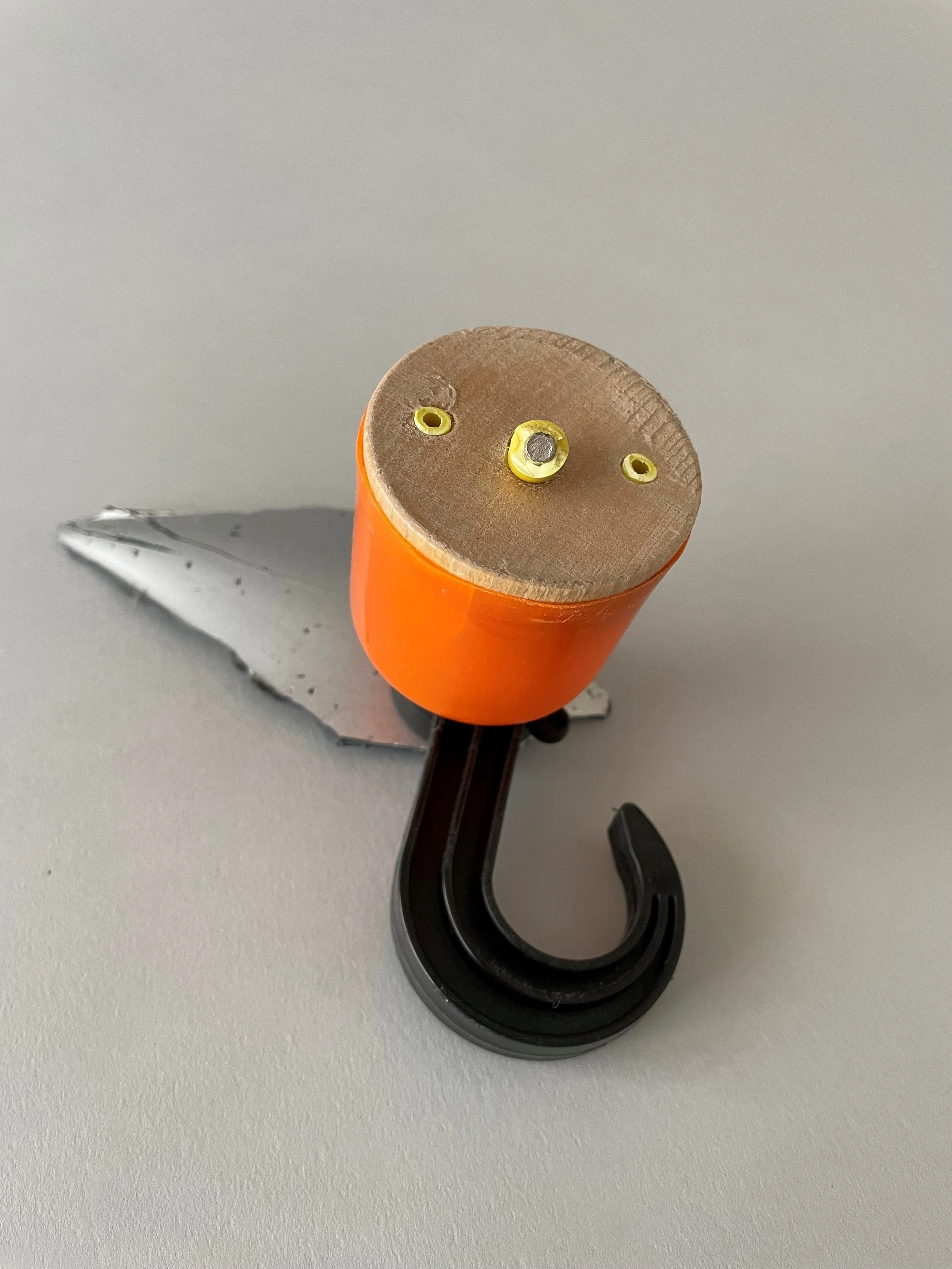Owl.jpg