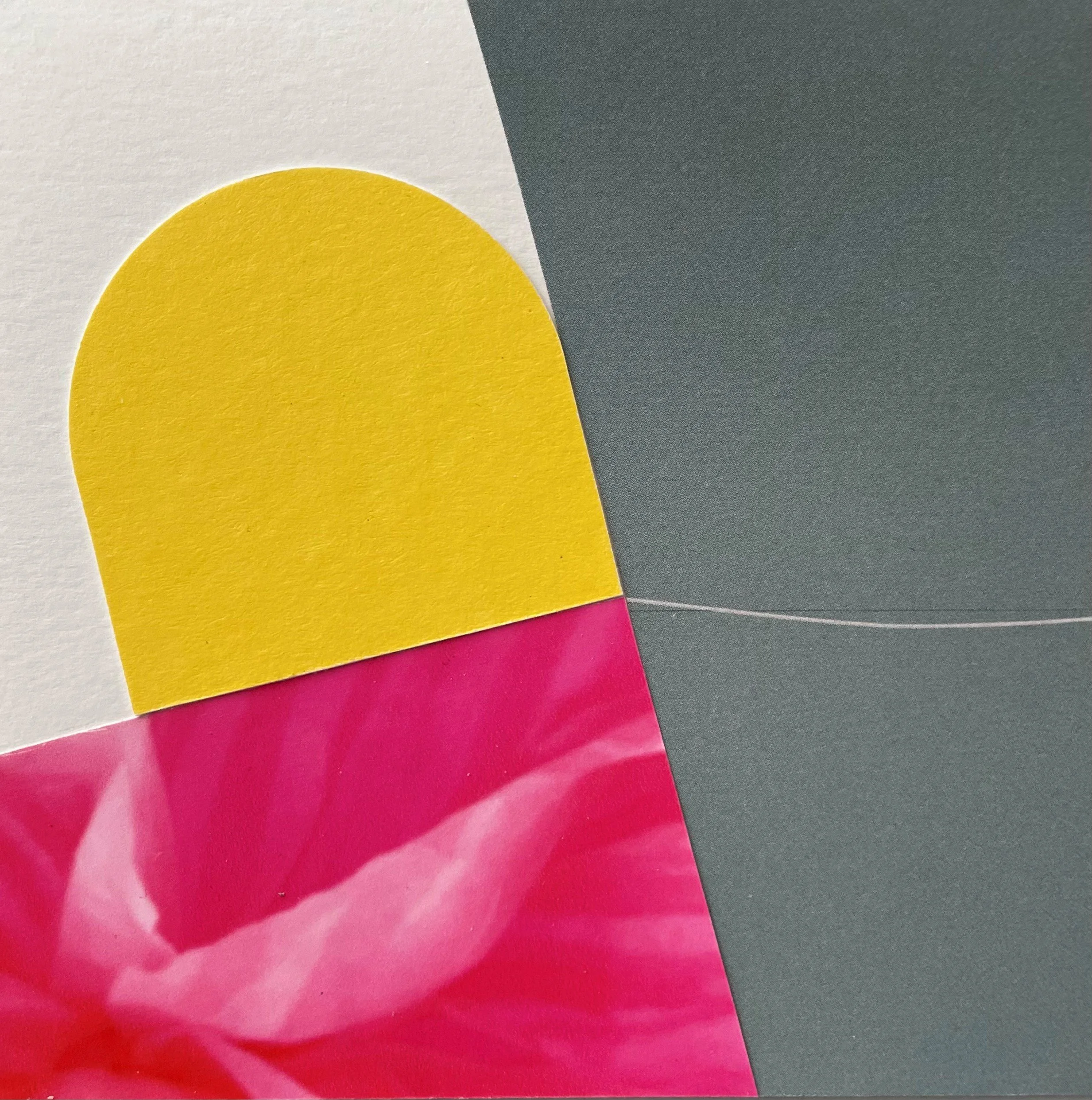 collage 11.jpg
