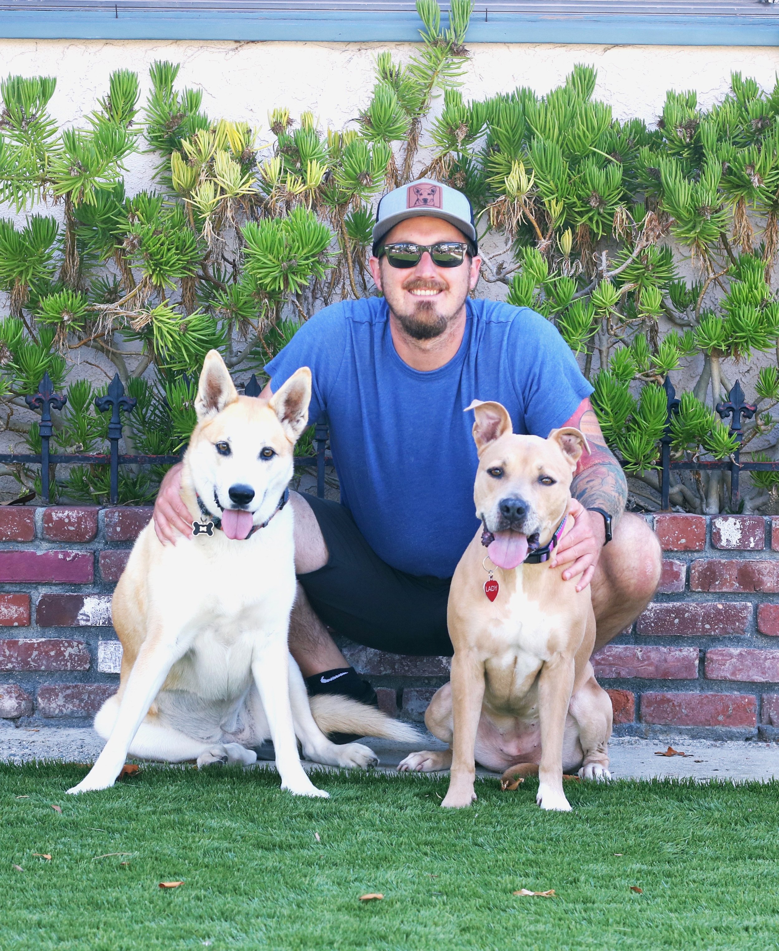 Sparky's Dog Training