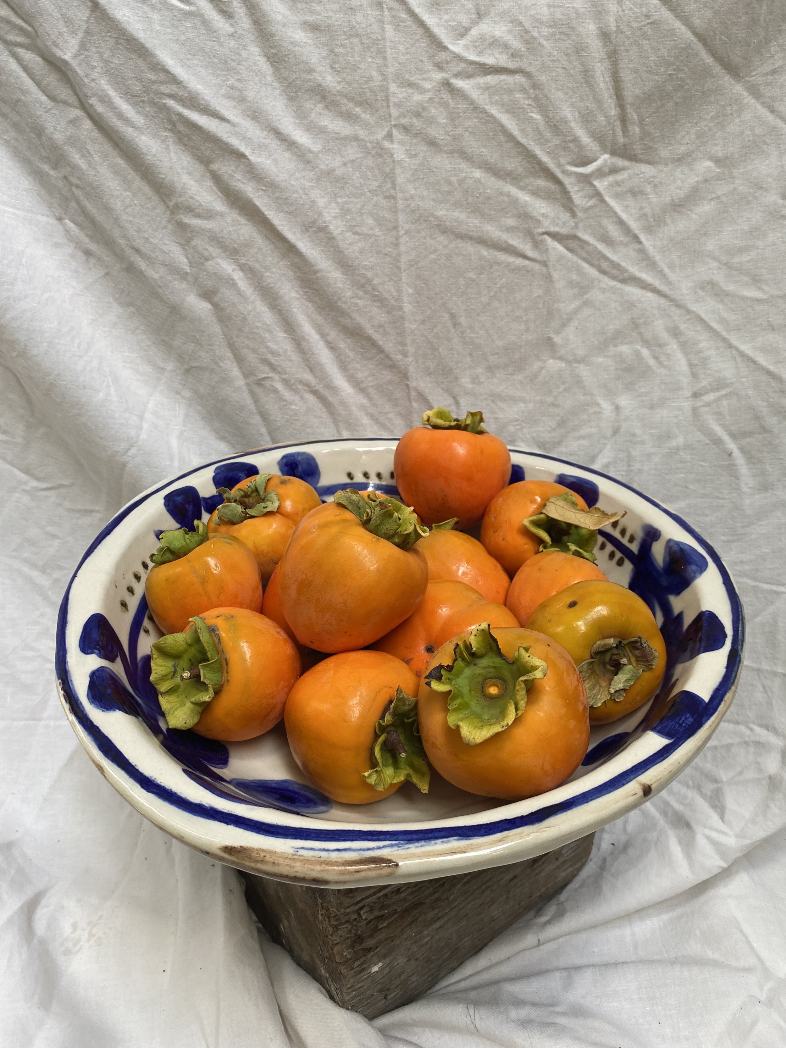 IMG_1296.jpeg