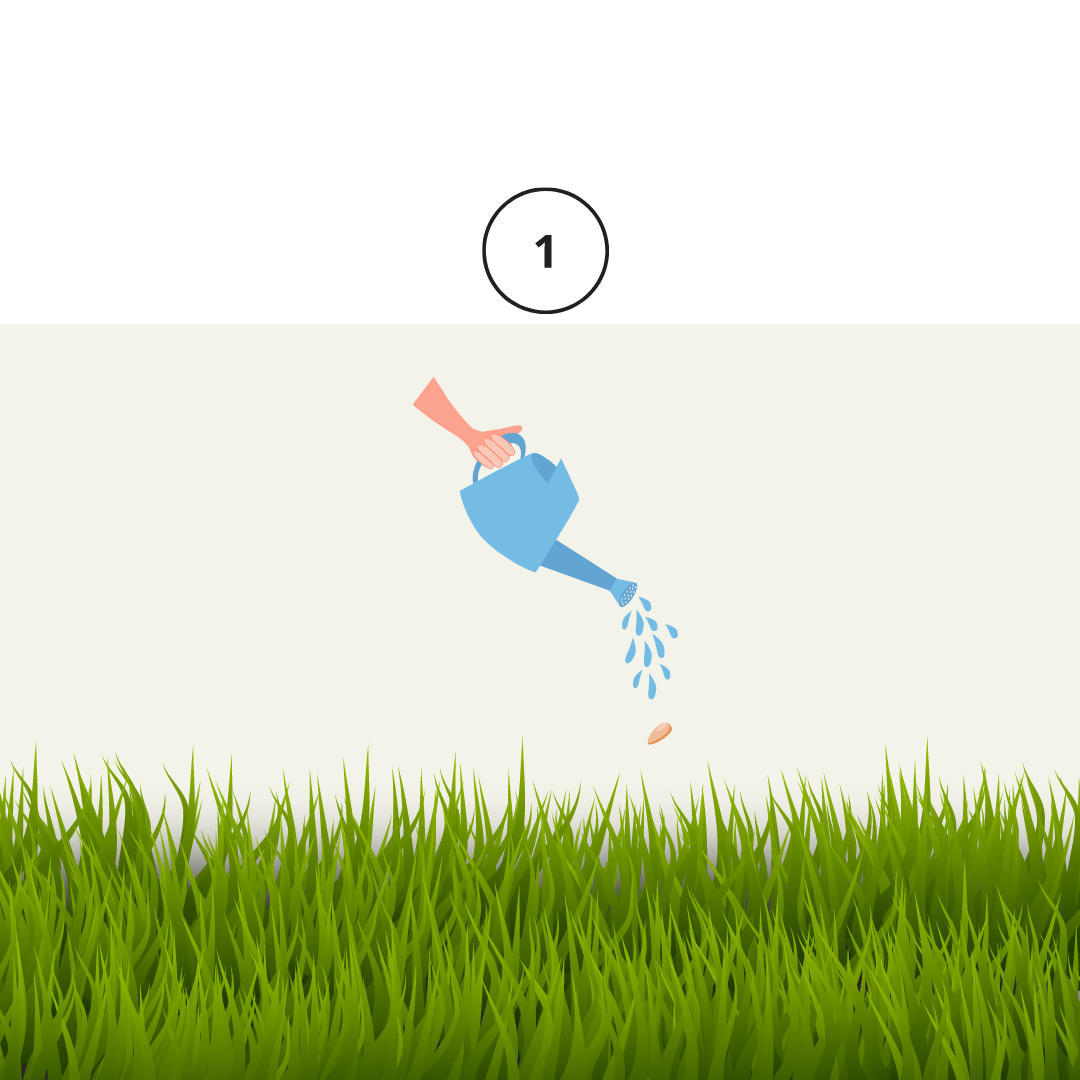 plant photos-2.png