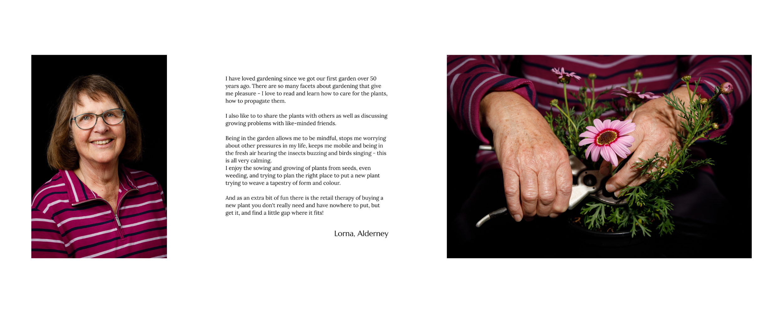 A woman with glasses and a striped pink and purple sweater smiling, and a pair of hands planting pink flowers in a pot, with a letter or note in the background.