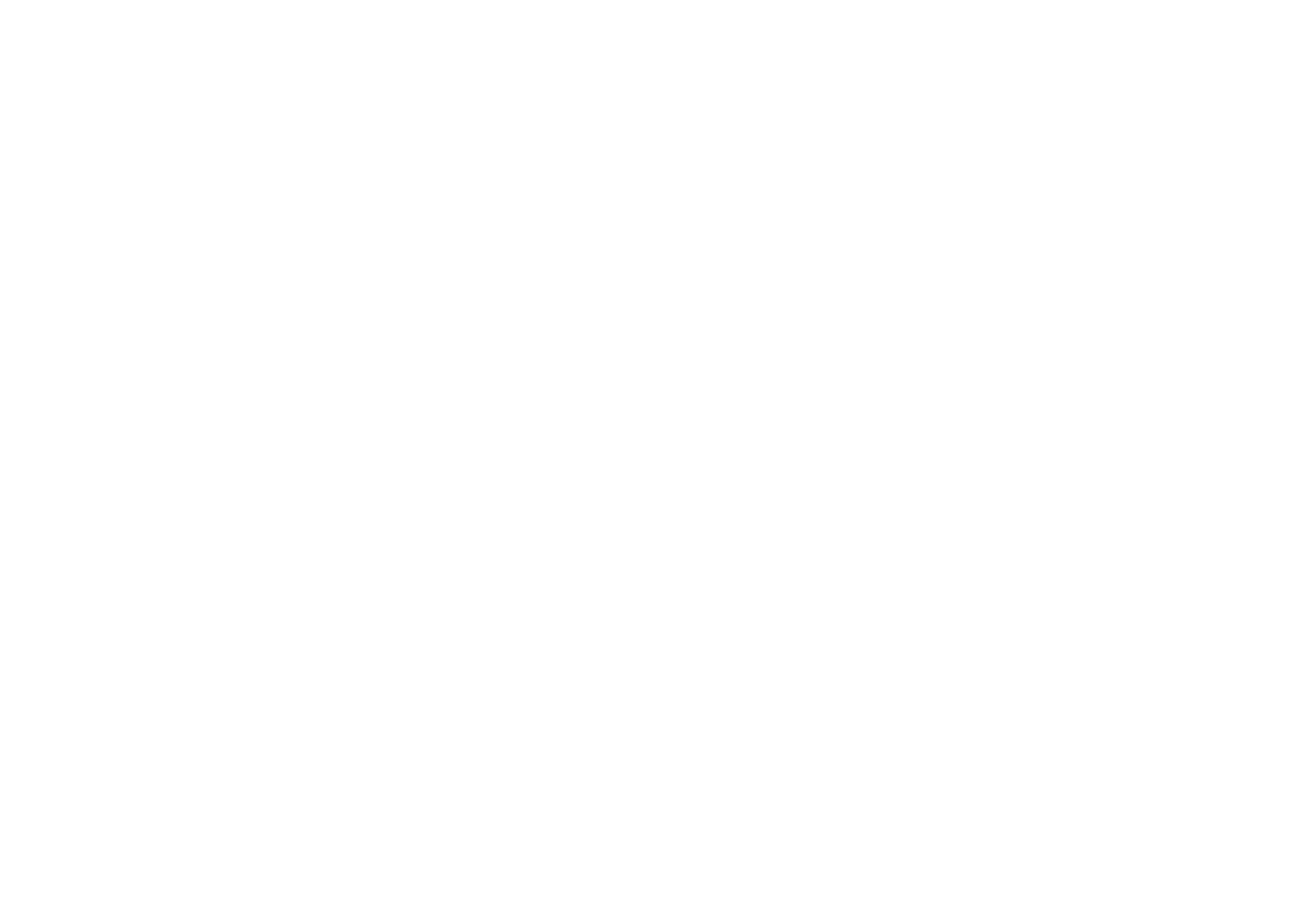 TOPO Logo.png