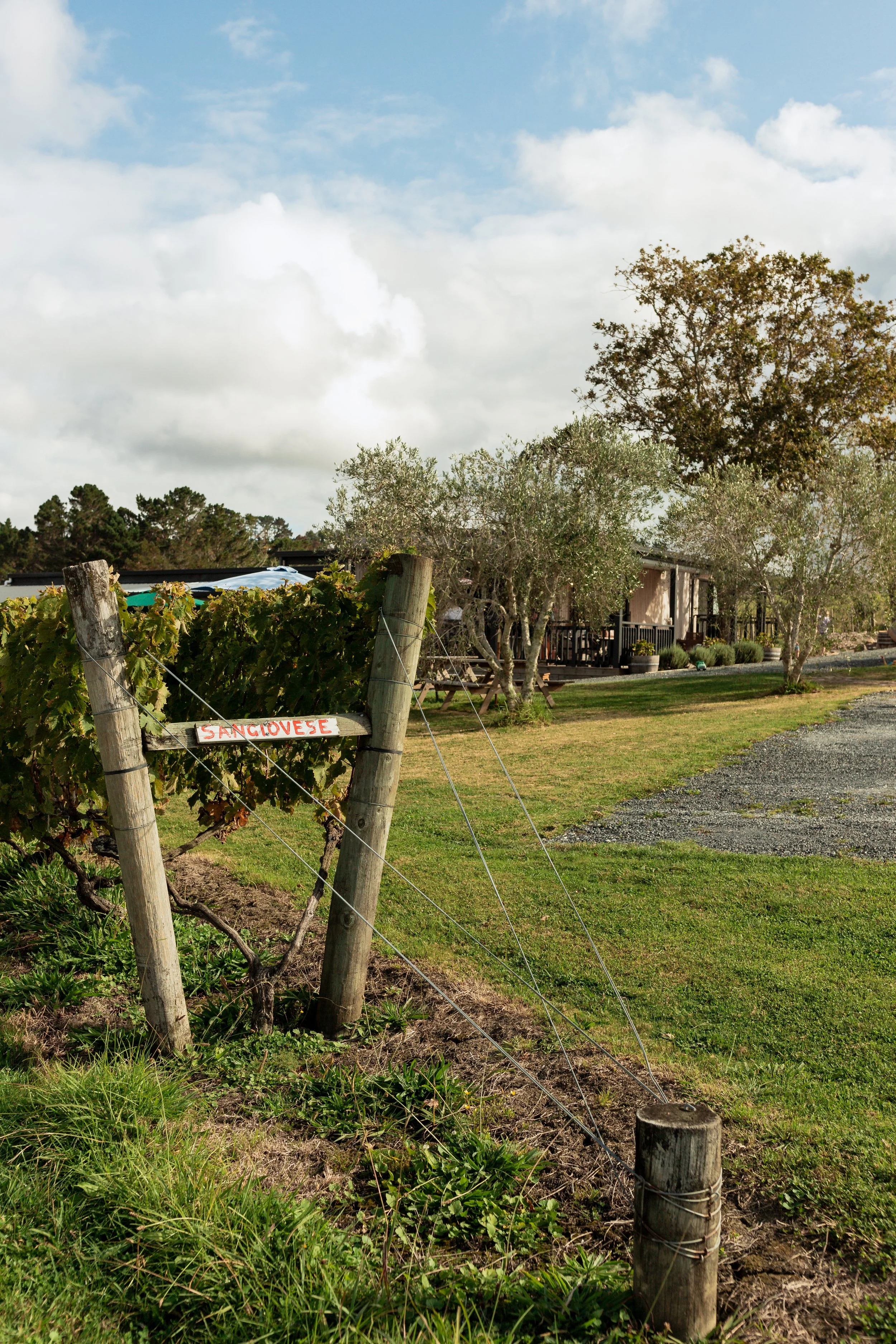 A Matakana Vineyard and Winery specialising in Italian varieties and wines.