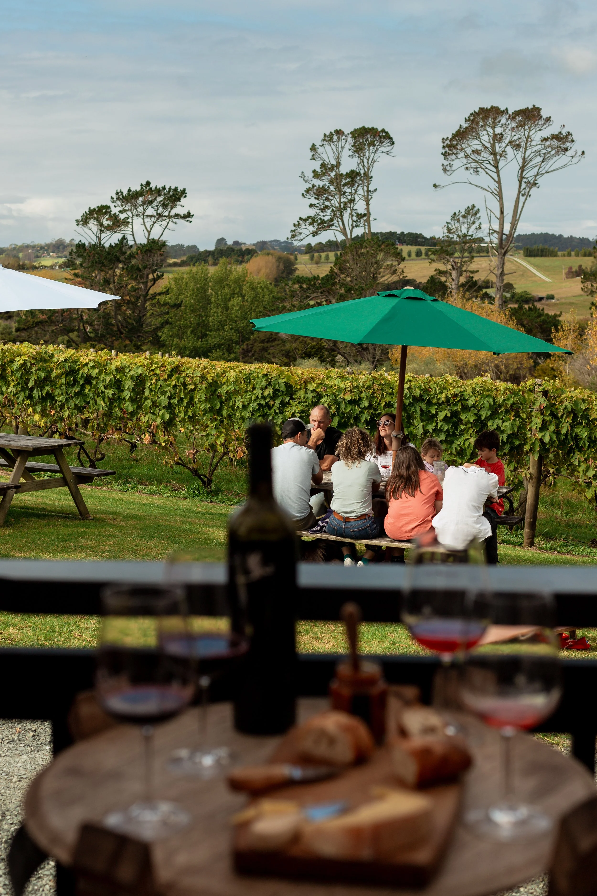Enjoy a build your own platter at our Matakana tasting room with rolling hills and trees in the background, shaded by large green umbrellas.