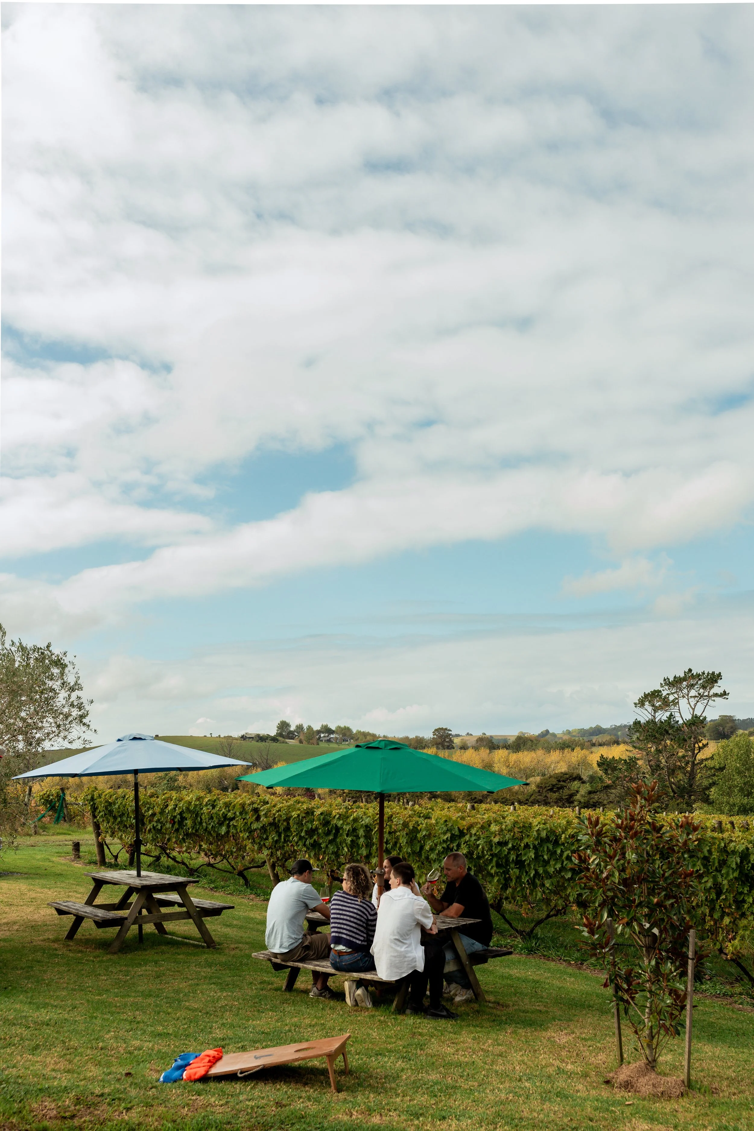 Enjoy a build your own platter at our Matakana tasting room and sit outside in the sunshine amongst the vineyard.